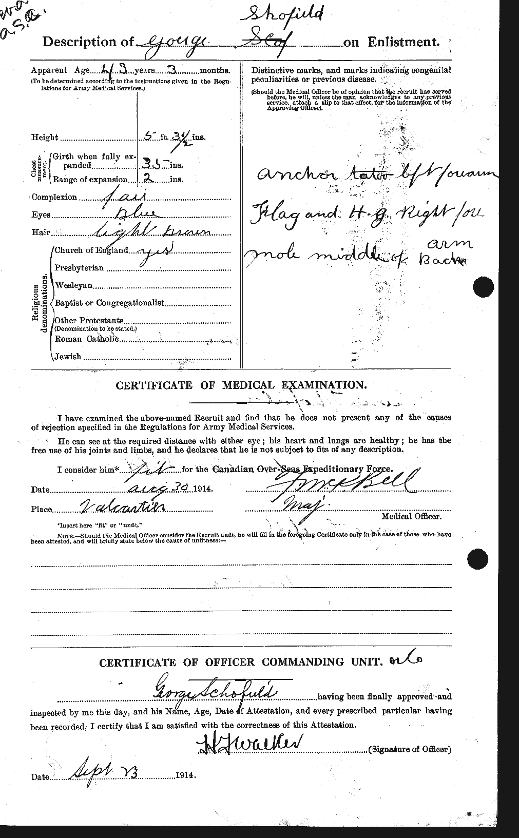 Personnel Records of the First World War - CEF 082195b