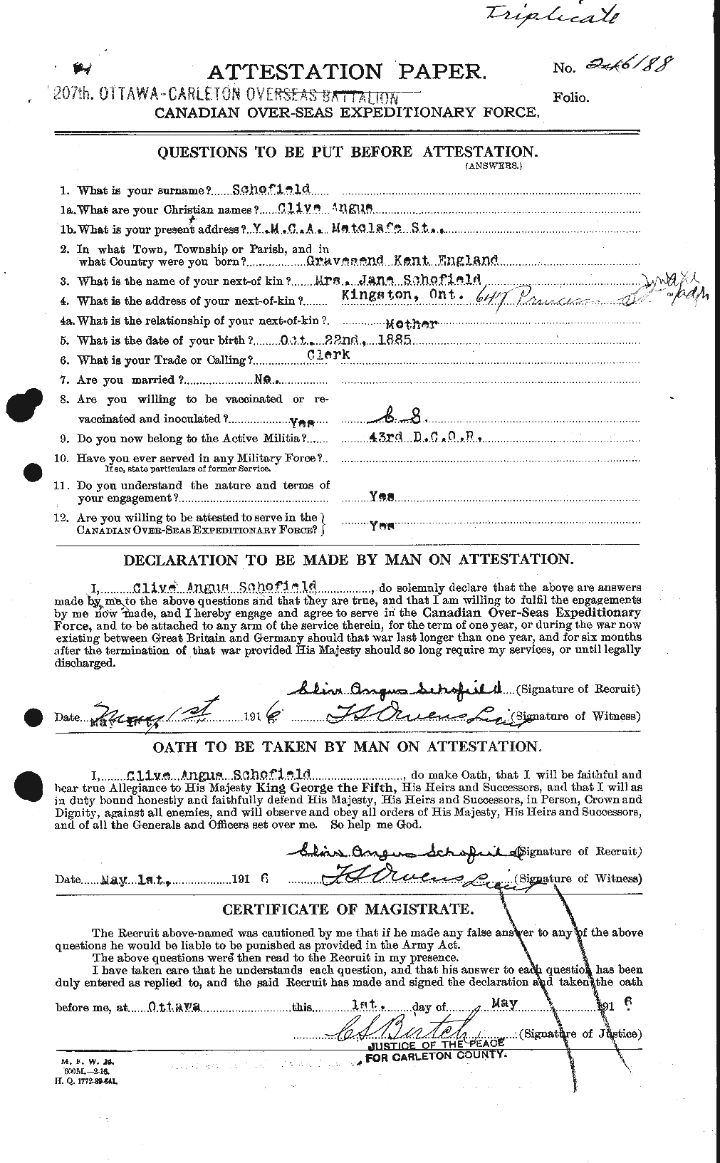 Personnel Records of the First World War - CEF 082213a