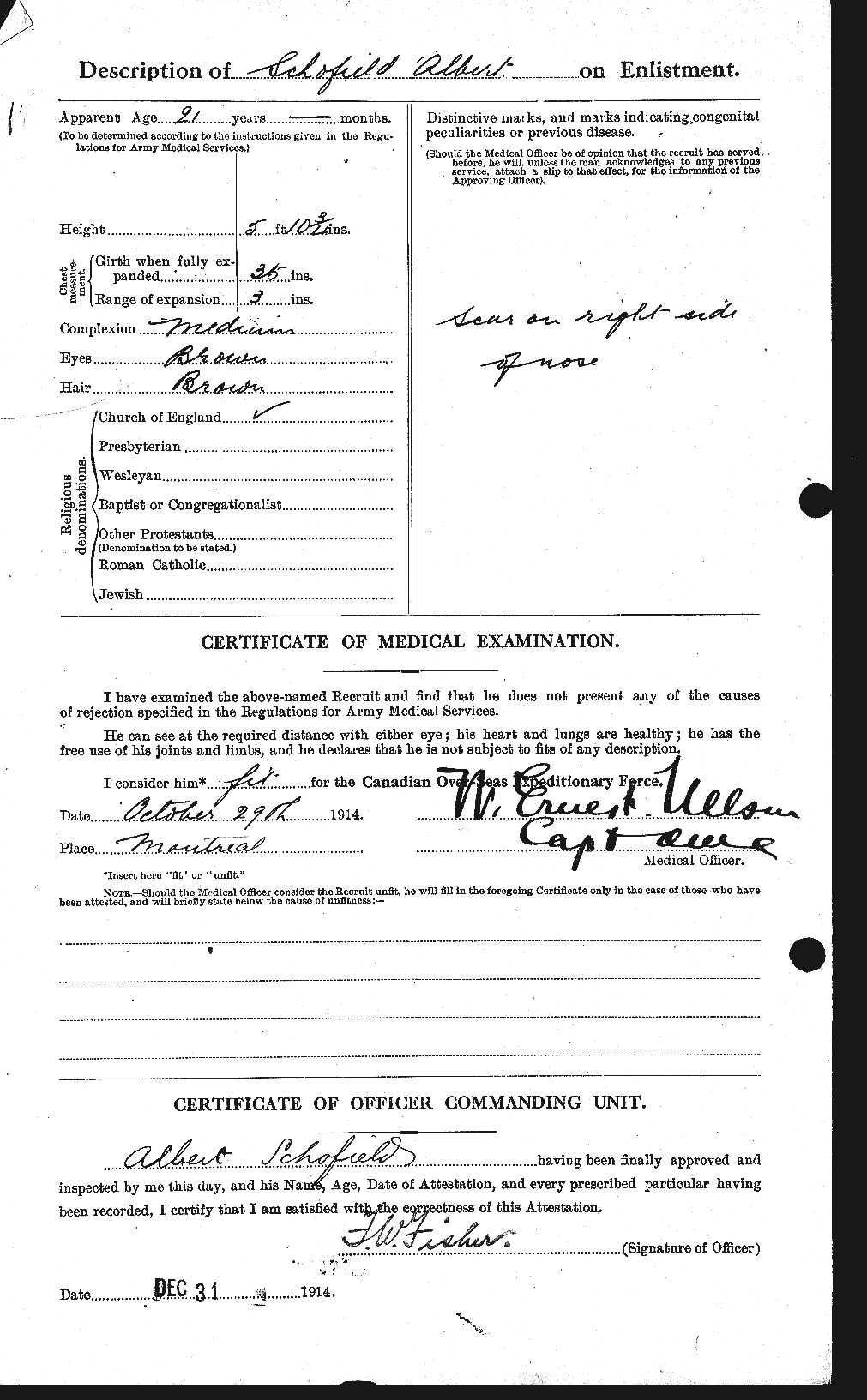 Personnel Records of the First World War - CEF 082230b