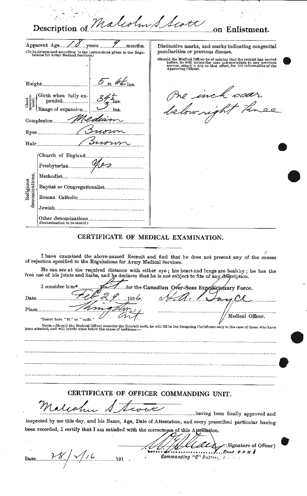Personnel Records of the First World War - CEF 083513b