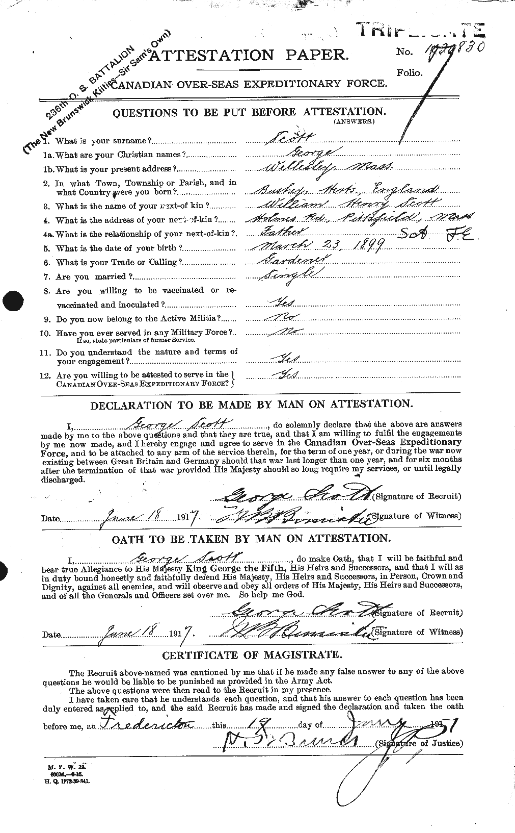Personnel Records of the First World War - CEF 083590a