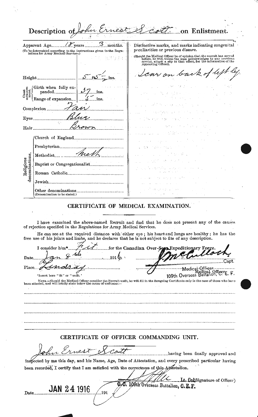 Personnel Records of the First World War - CEF 084630b