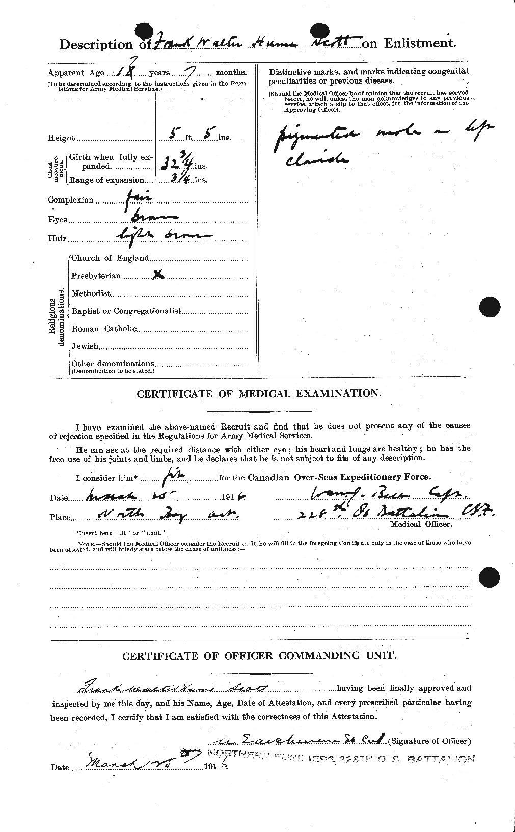 Personnel Records of the First World War - CEF 084689b