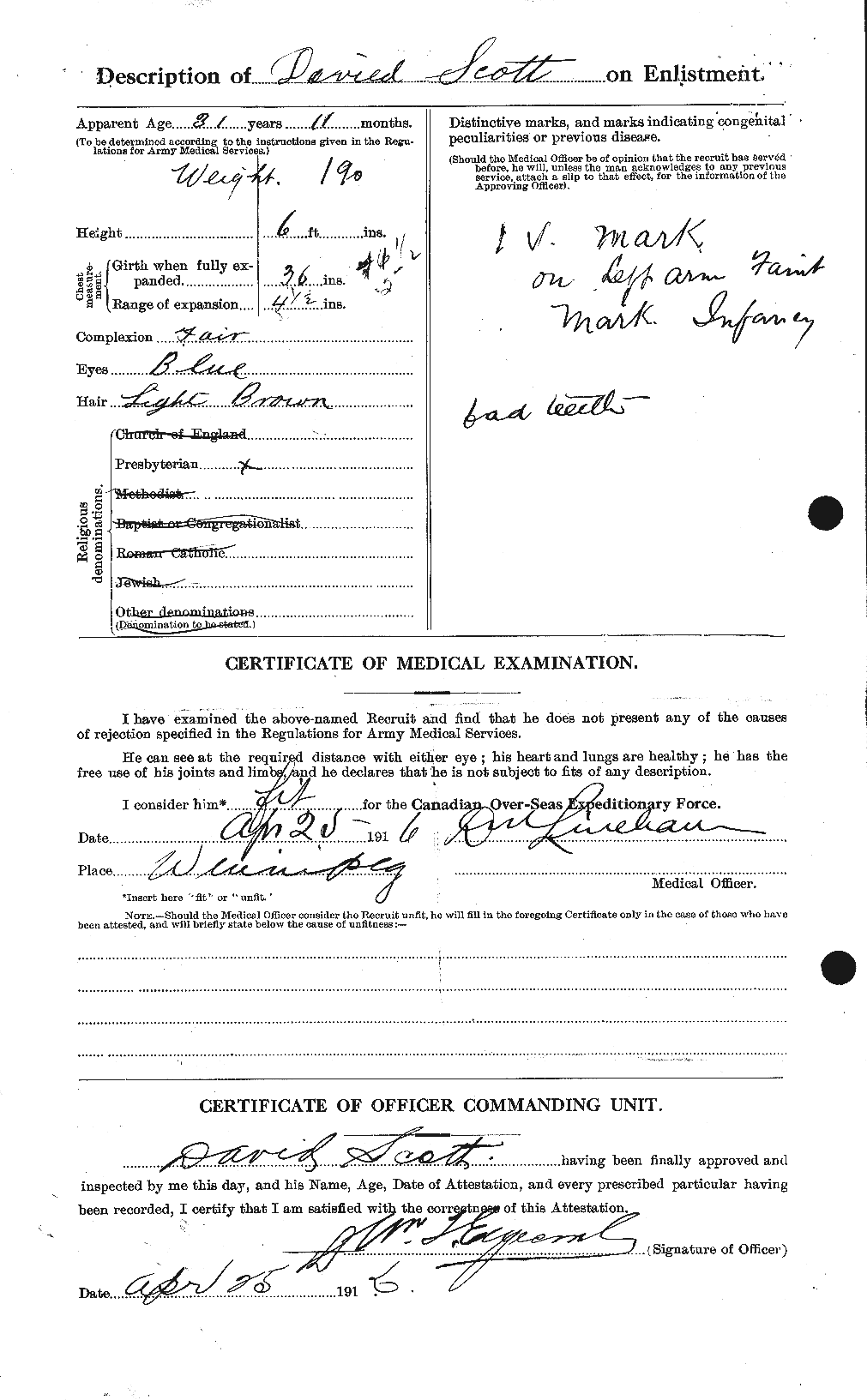 Personnel Records of the First World War - CEF 085366b