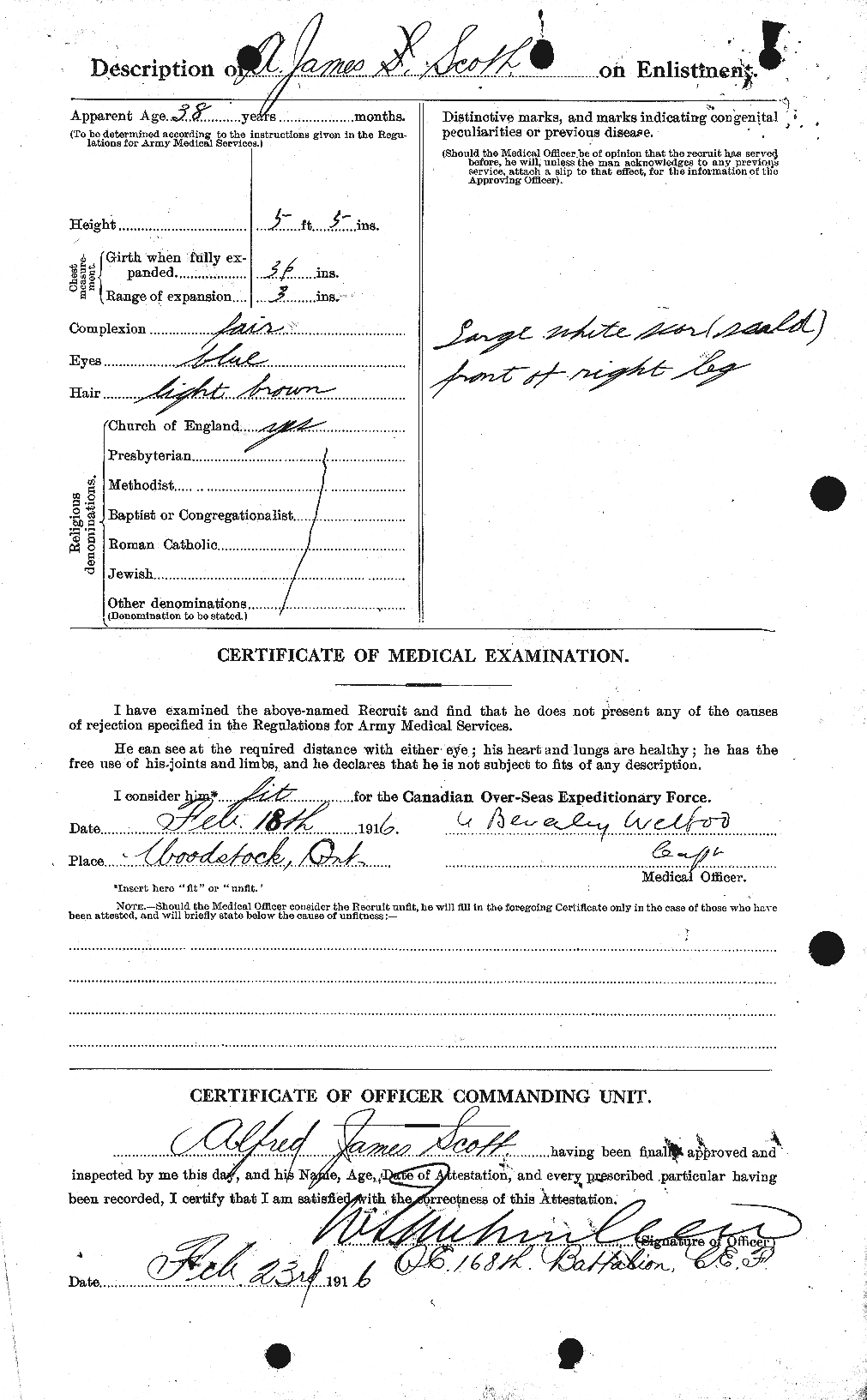 Personnel Records of the First World War - CEF 086581b