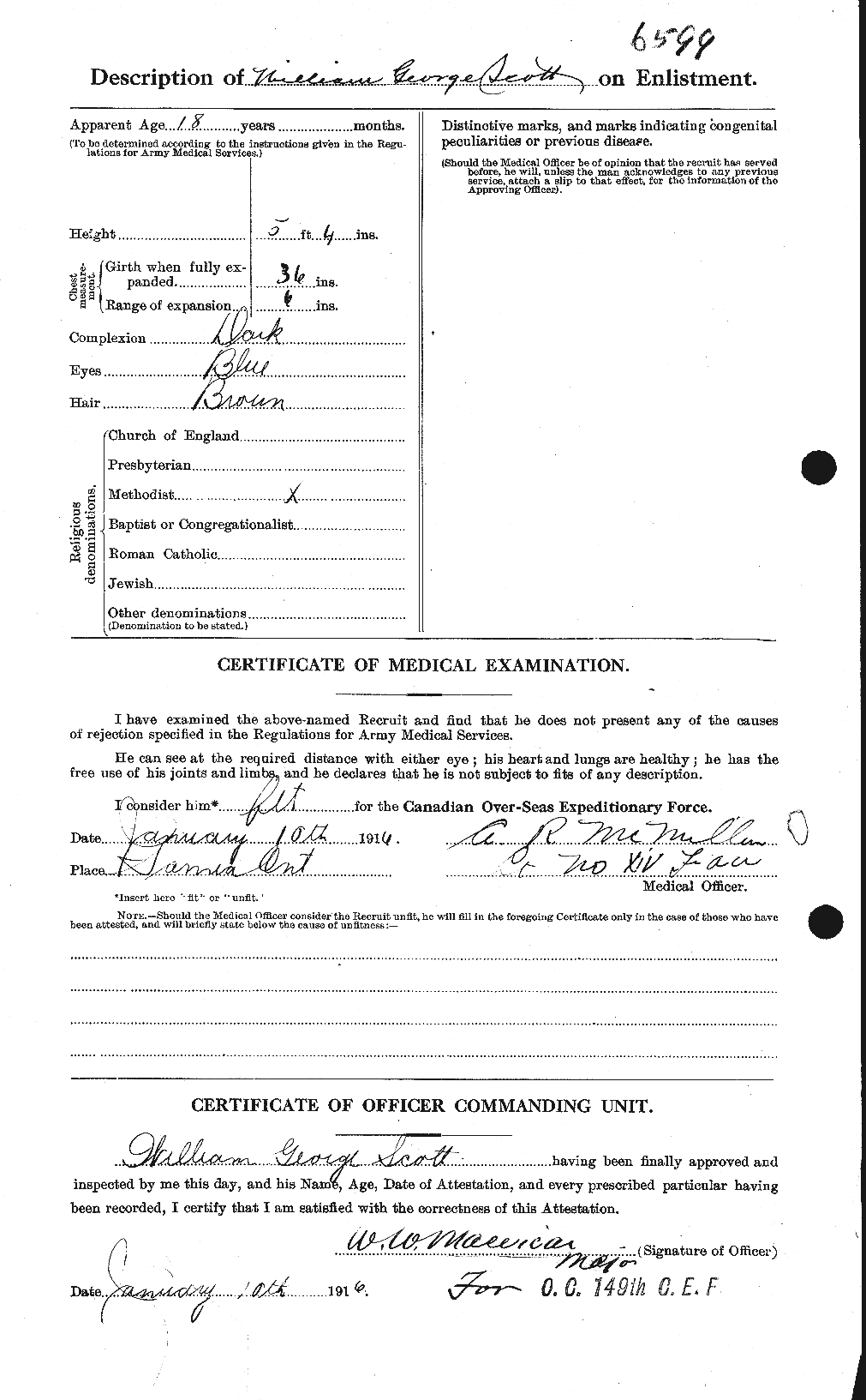 Personnel Records of the First World War - CEF 087018b
