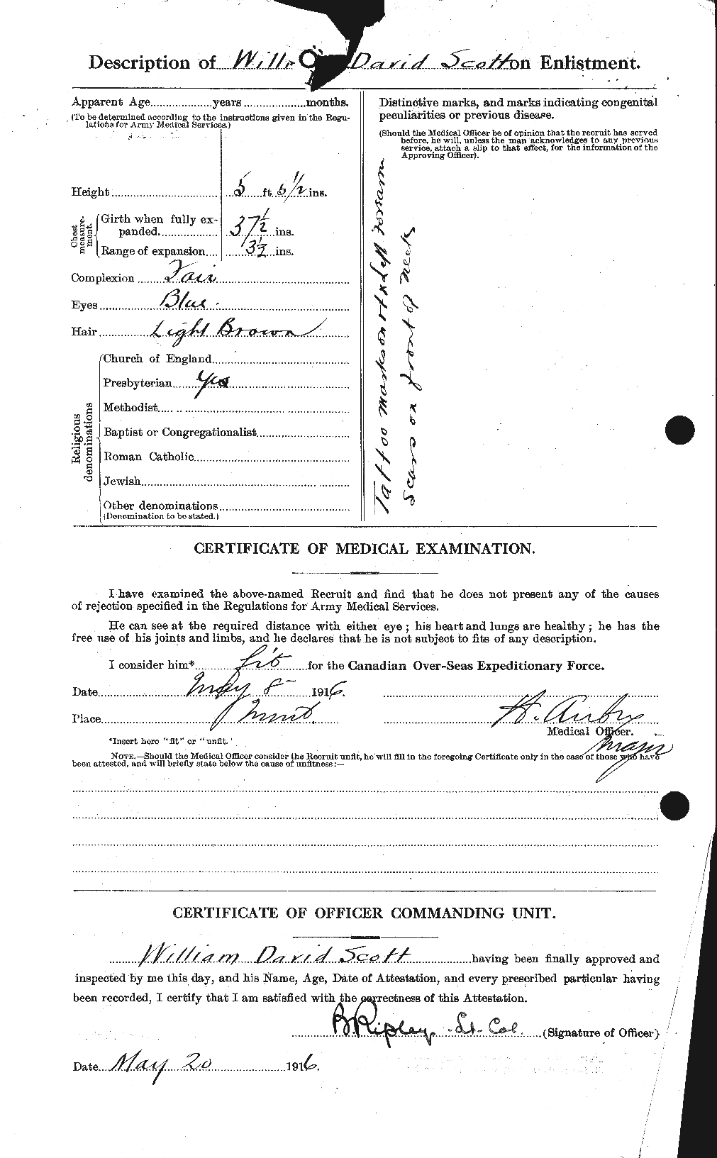 Personnel Records of the First World War - CEF 087033b