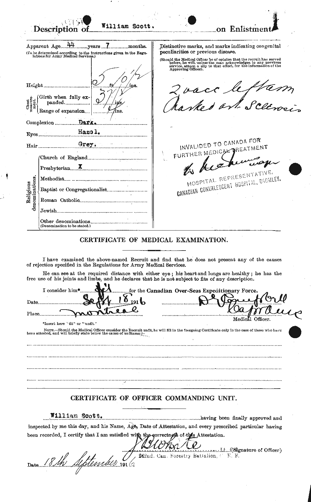 Personnel Records of the First World War - CEF 087657b