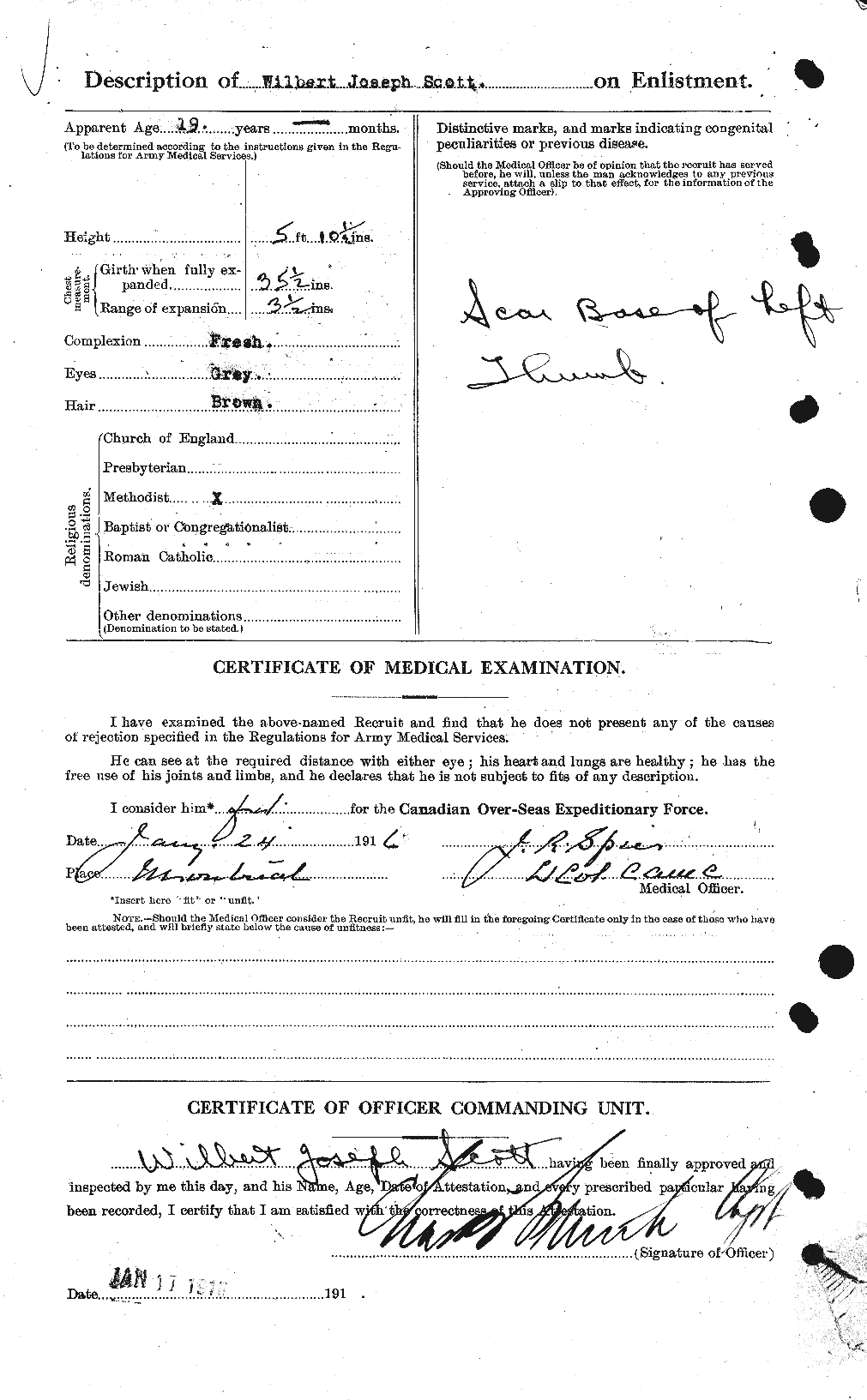 Personnel Records of the First World War - CEF 087681b
