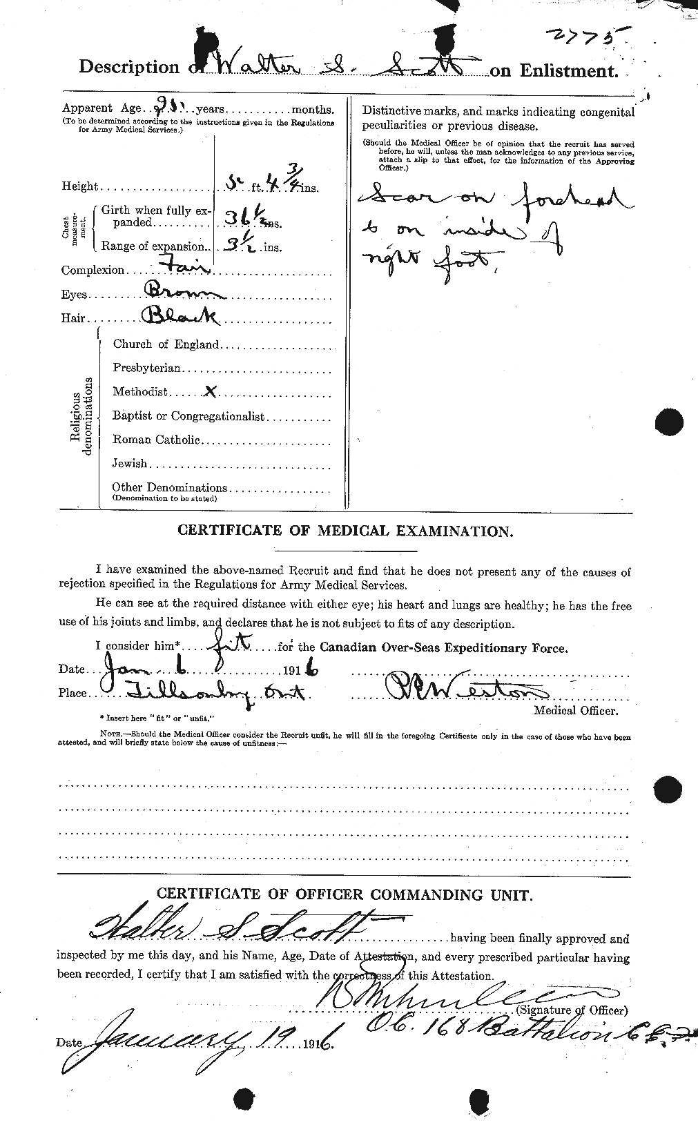 Personnel Records of the First World War - CEF 087690b