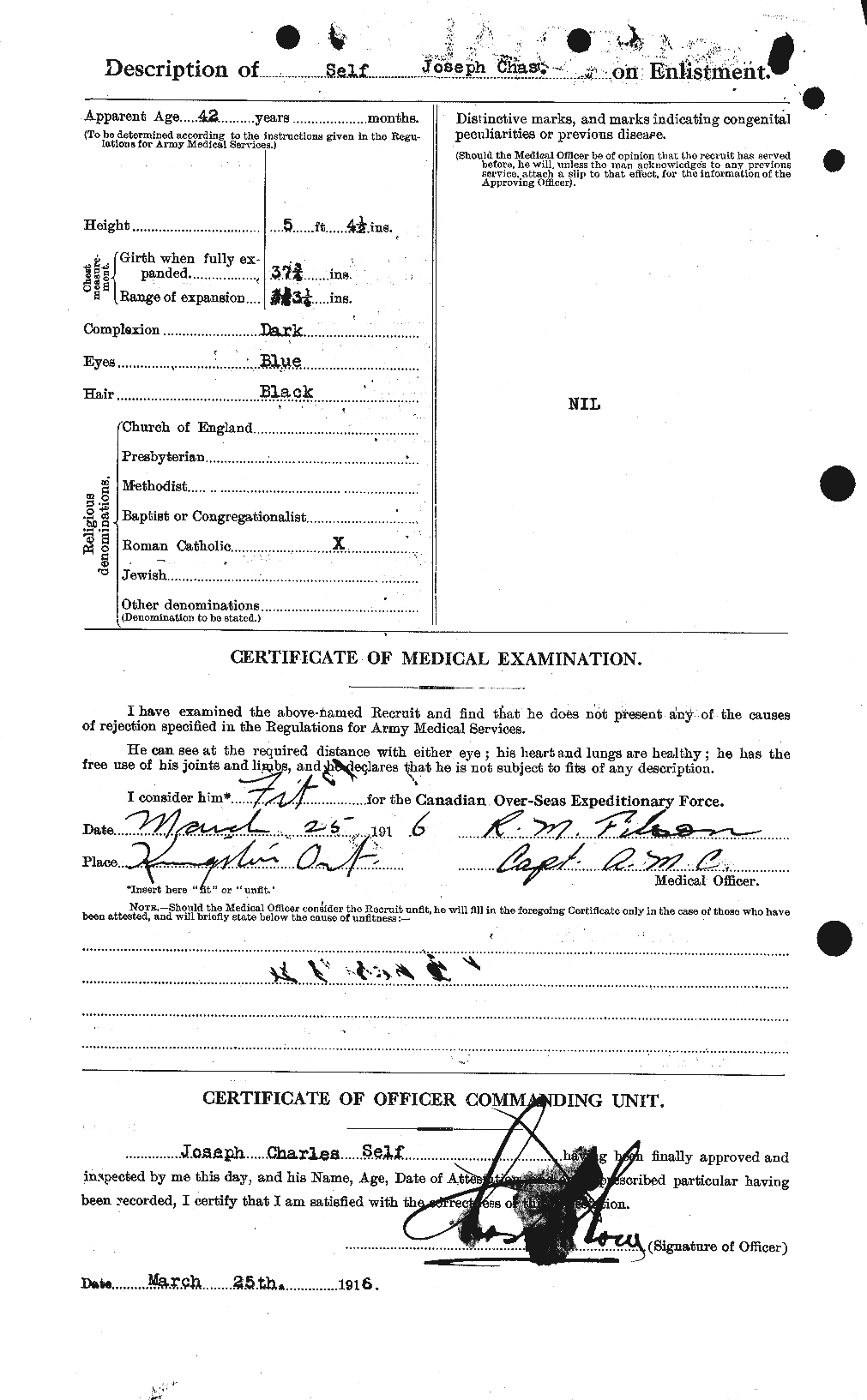 Personnel Records of the First World War - CEF 088381b