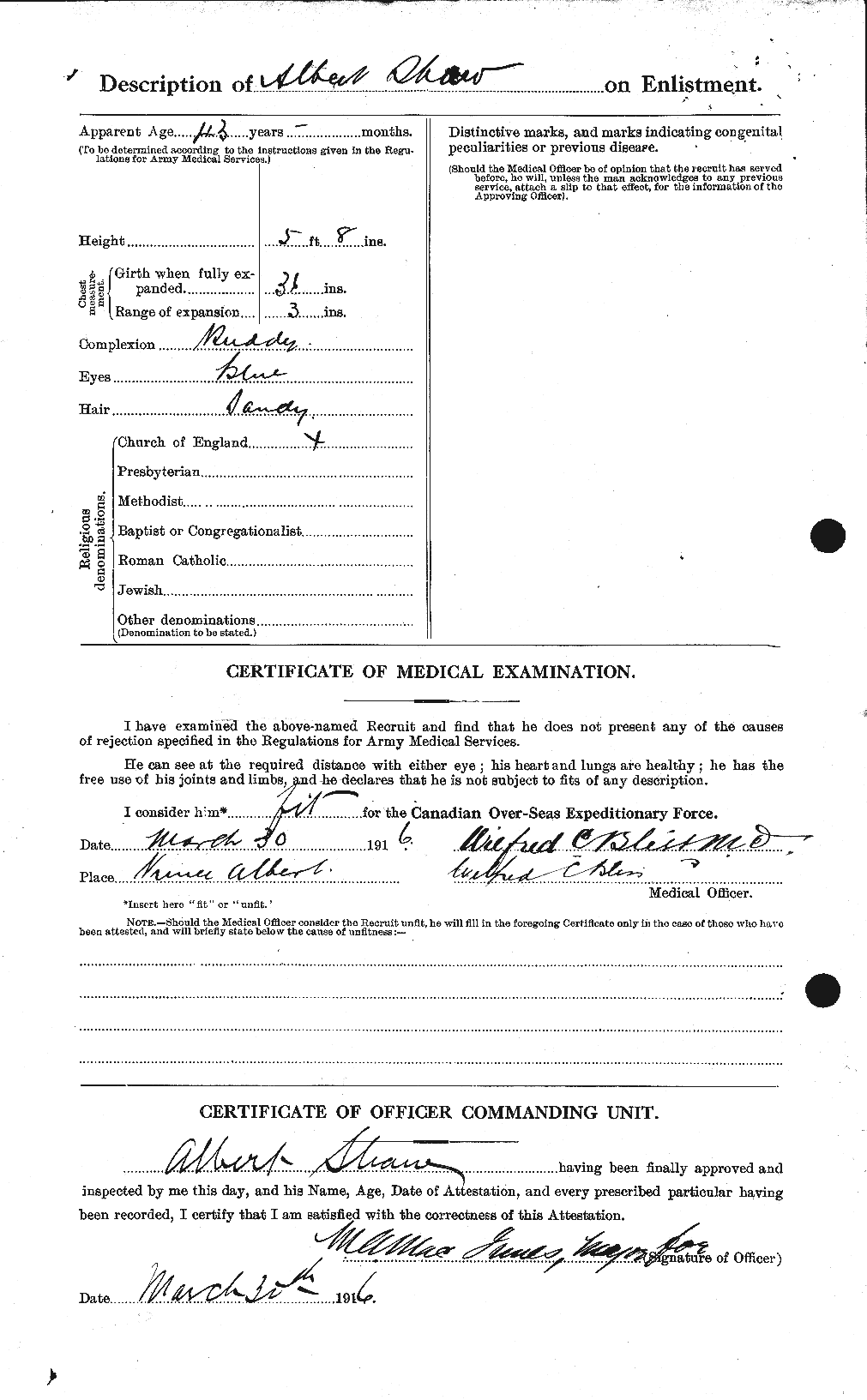 Personnel Records of the First World War - CEF 093395b