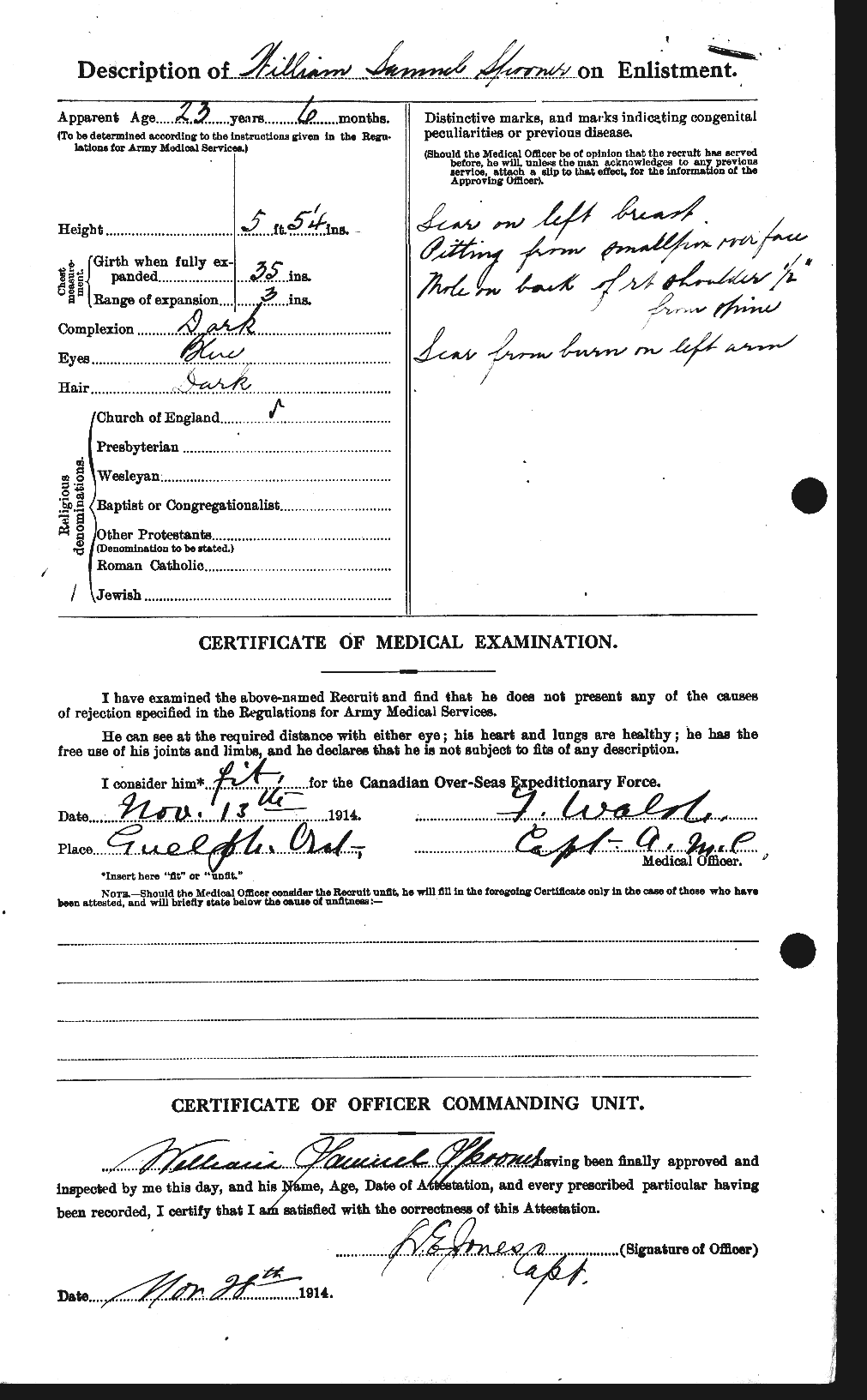 Personnel Records of the First World War - CEF 113229b