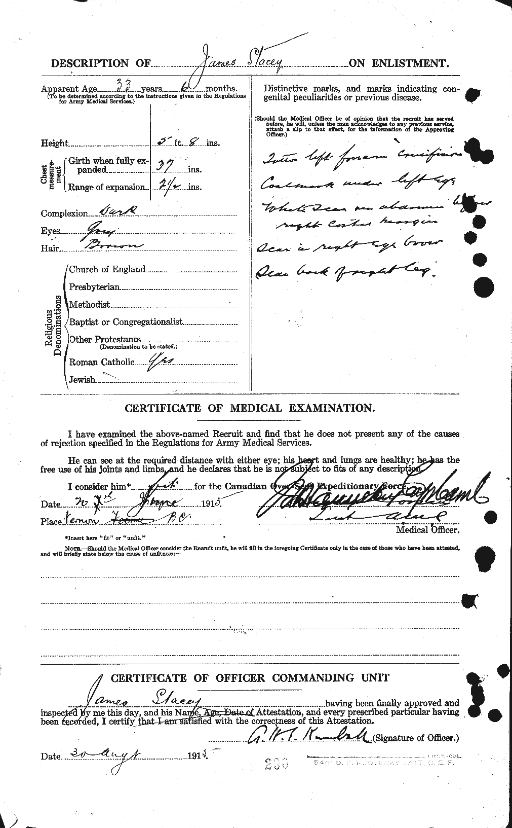 Personnel Records of the First World War - CEF 113741b