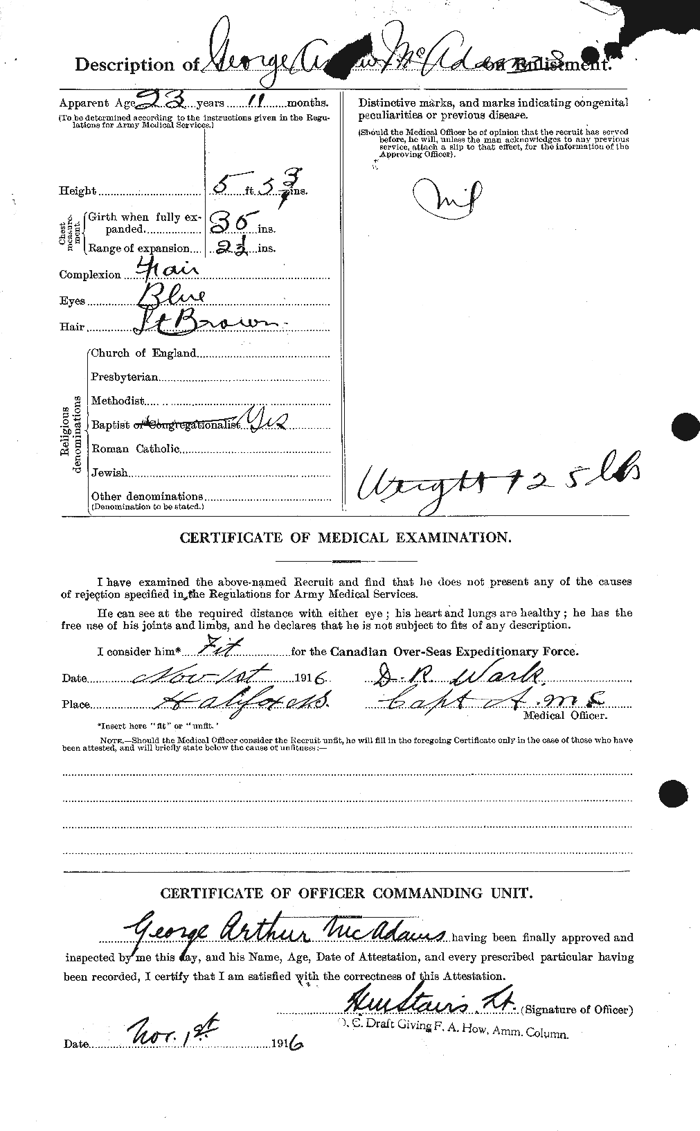 Personnel Records of the First World War - CEF 130219b