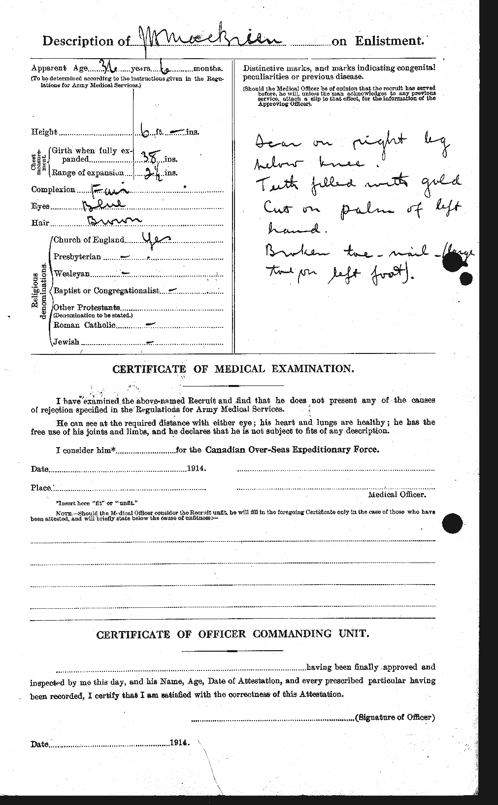 Personnel Records of the First World War - CEF 131799b