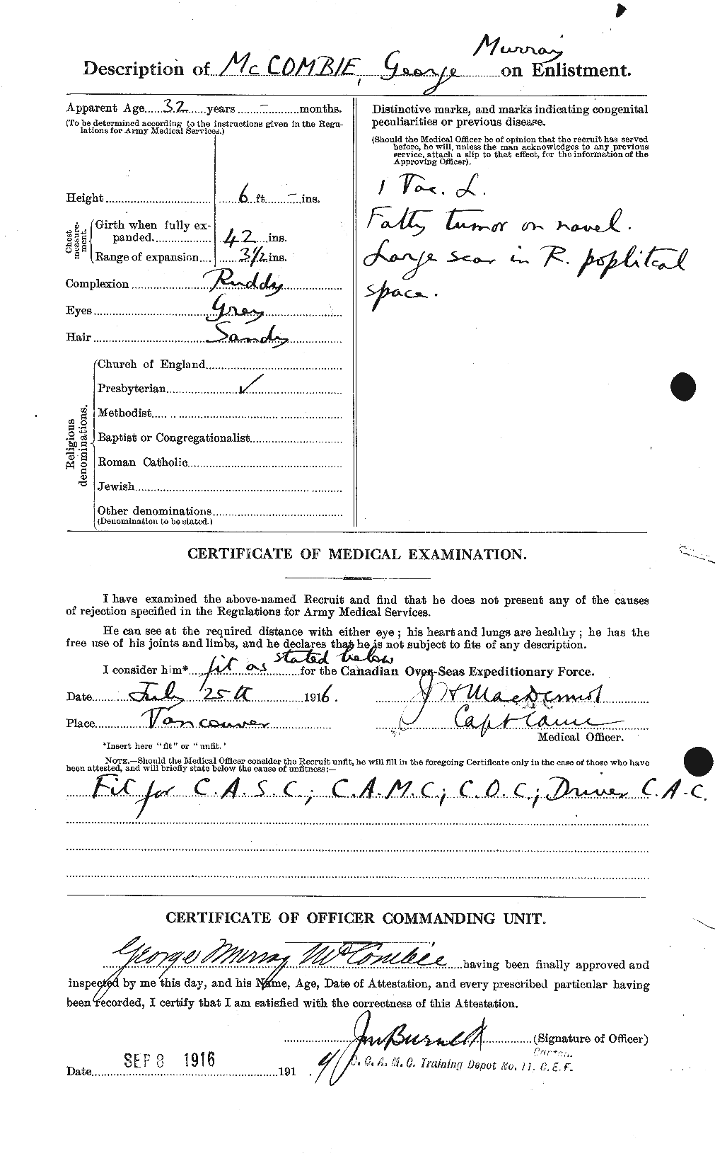 Personnel Records of the First World War - CEF 133089b