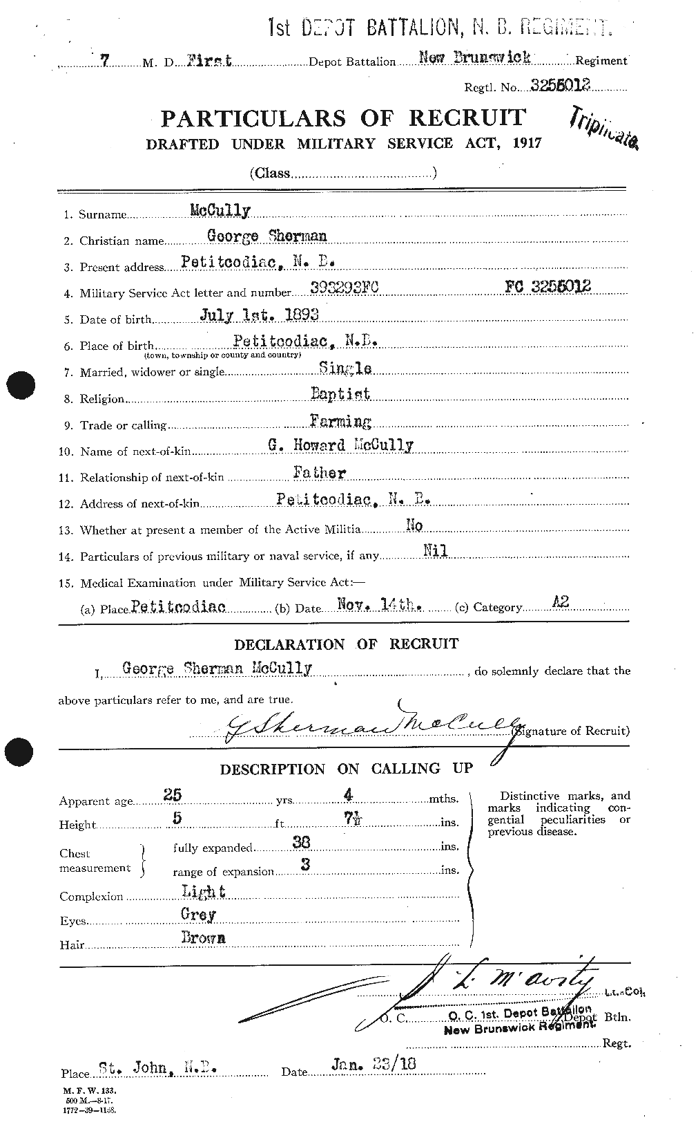 Personnel Records of the First World War - CEF 136824a
