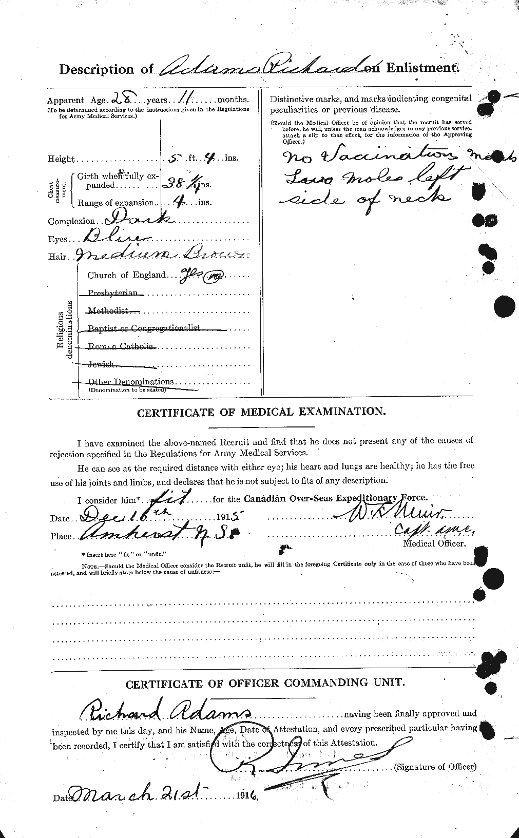 Personnel Records of the First World War - CEF 202025b