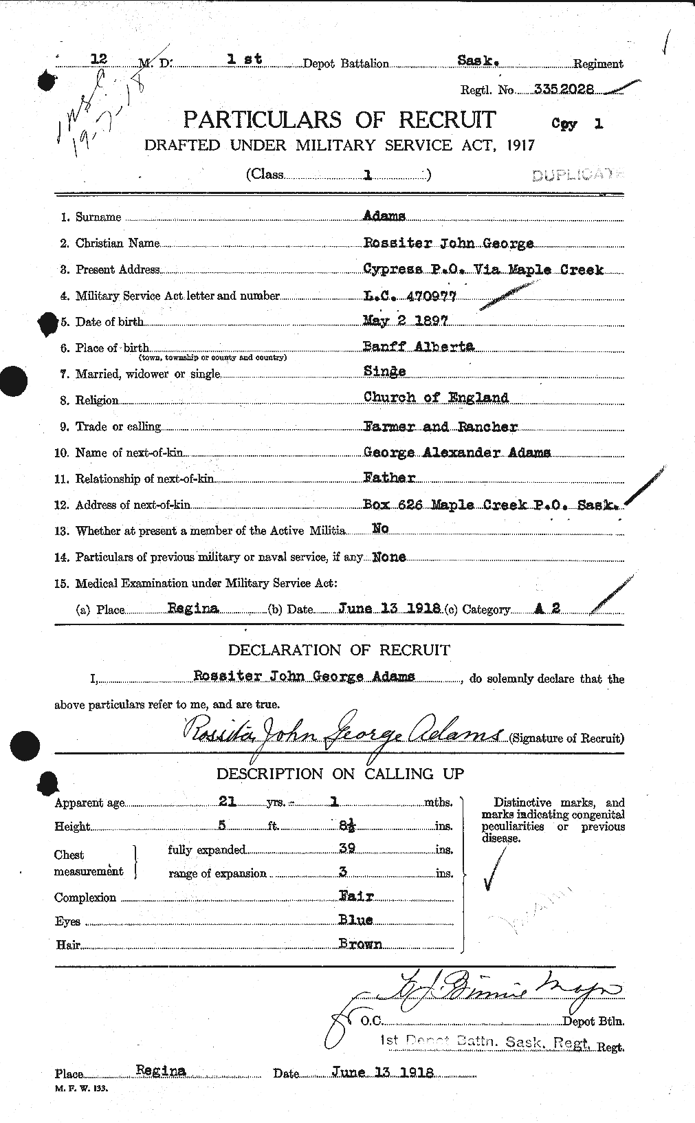 Personnel Records of the First World War - CEF 202119a