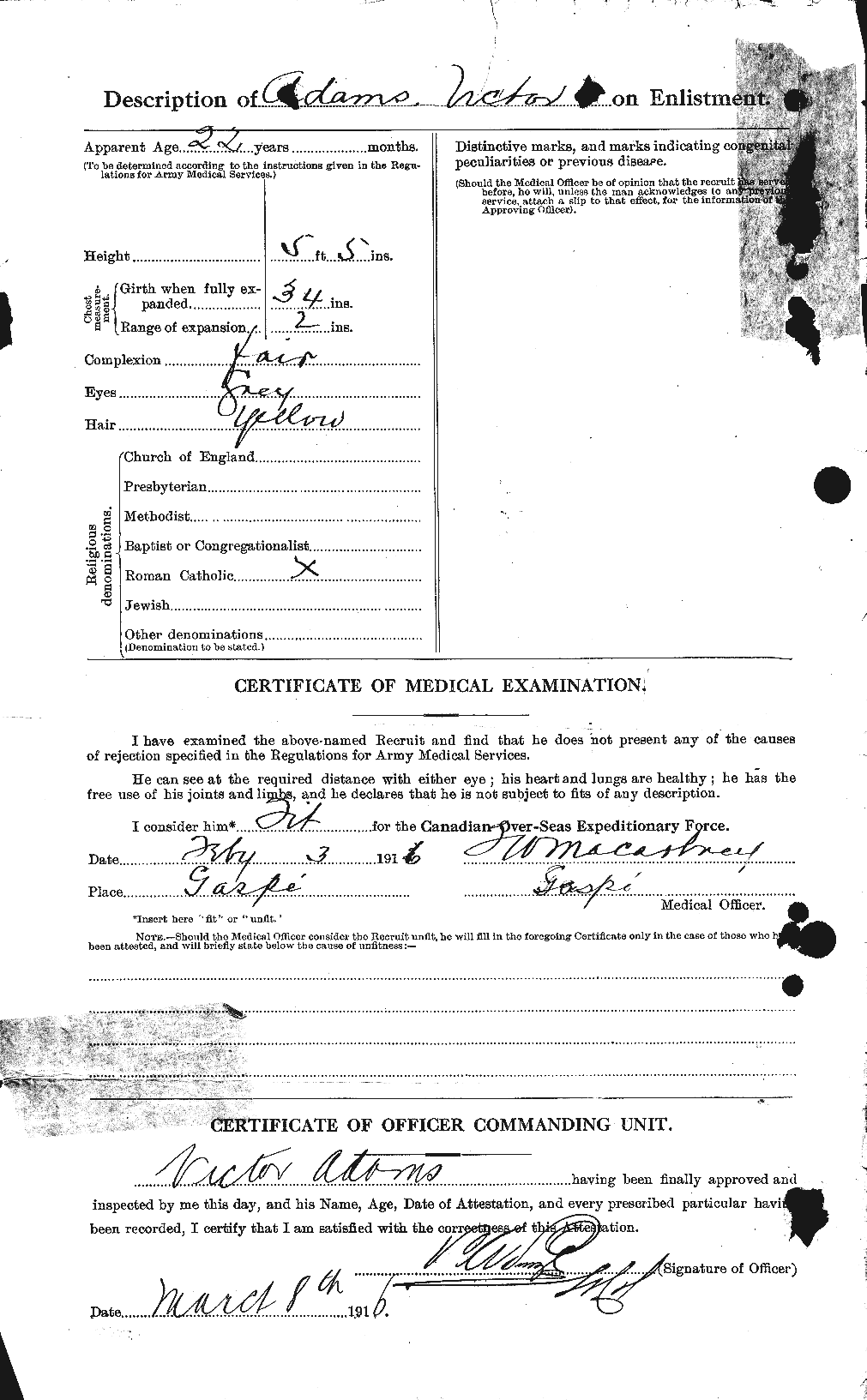 Personnel Records of the First World War - CEF 202184b
