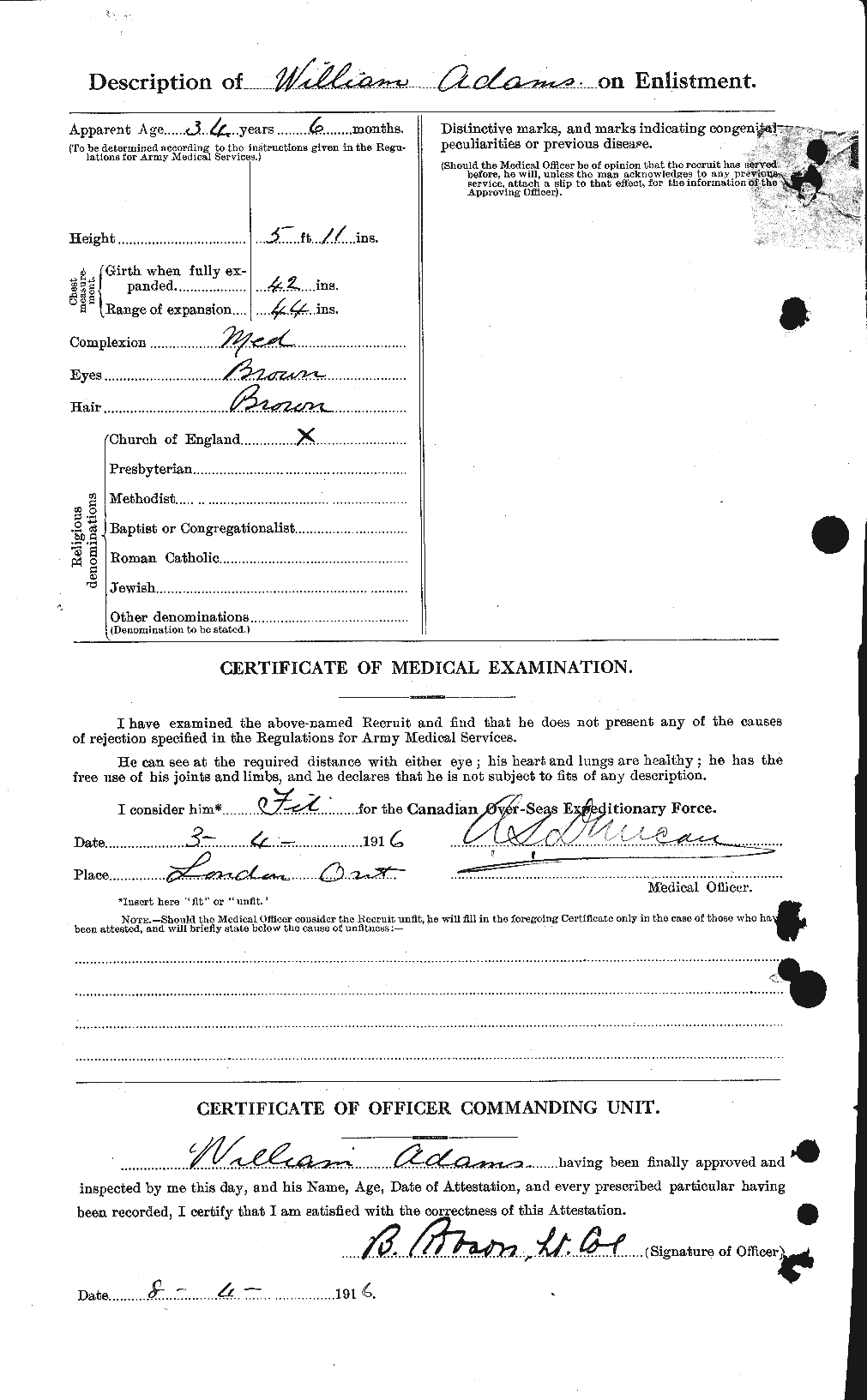 Personnel Records of the First World War - CEF 202213b