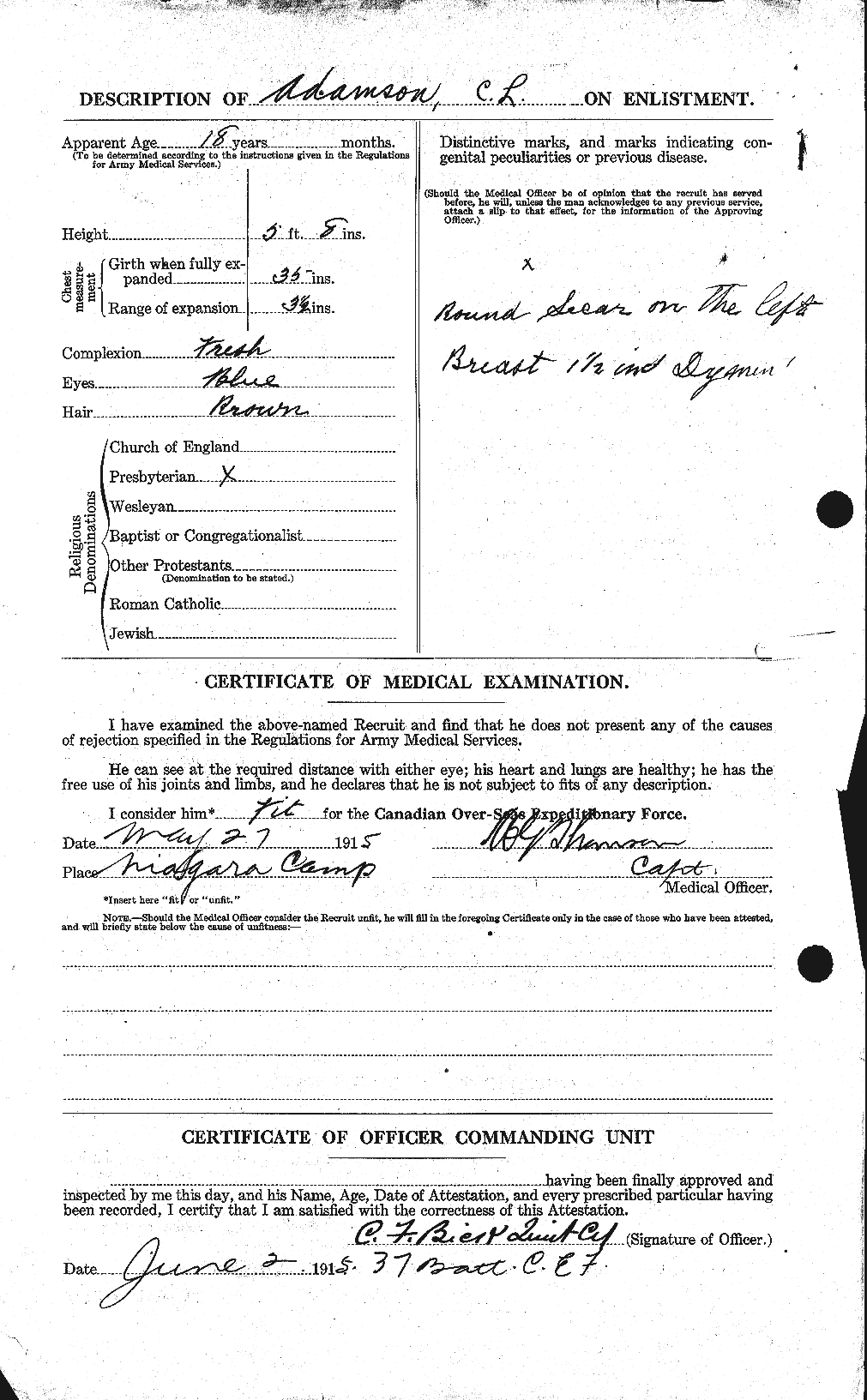 Personnel Records of the First World War - CEF 202323b