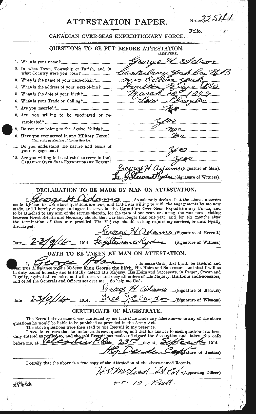Personnel Records of the First World War - CEF 202566a