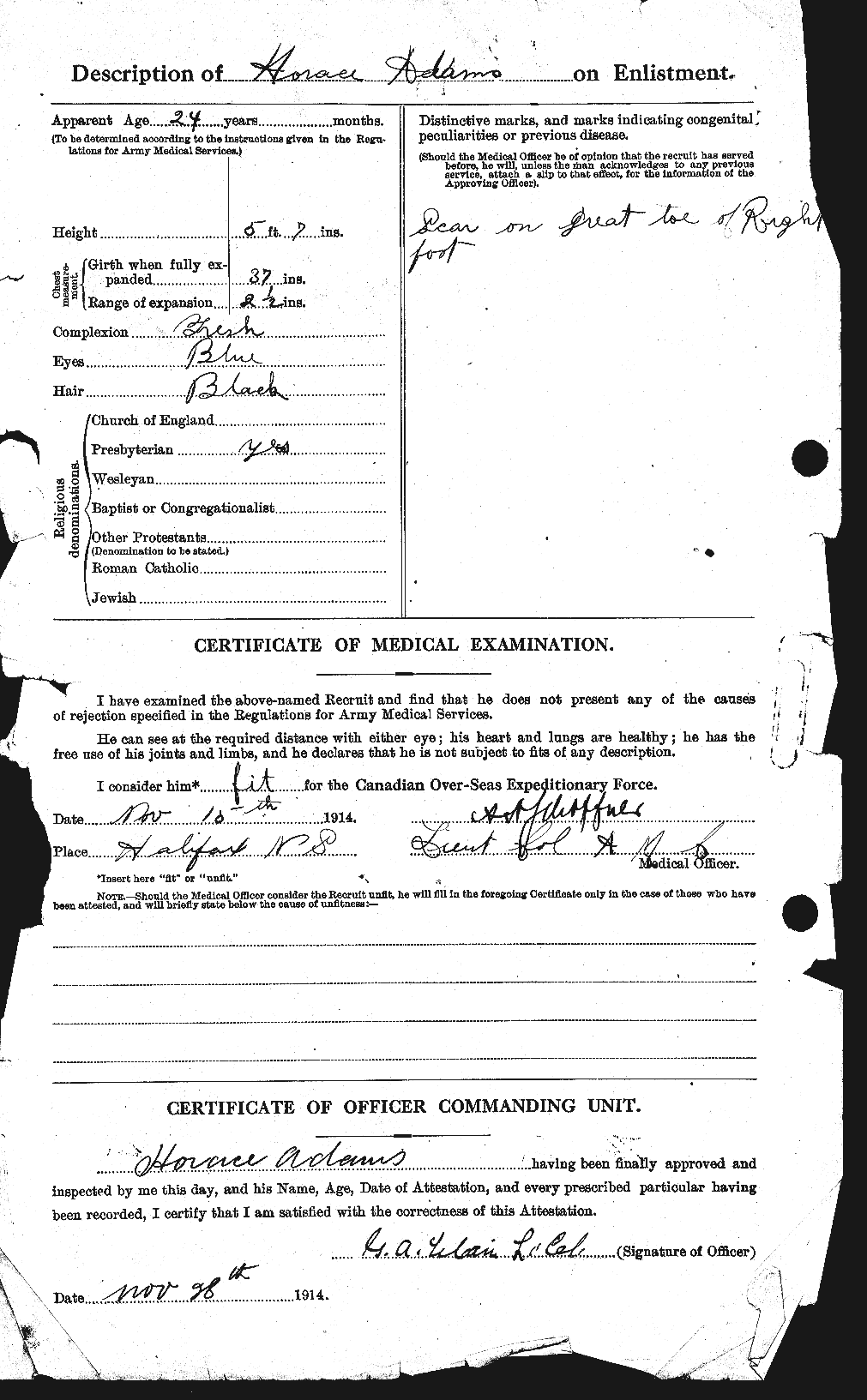 Personnel Records of the First World War - CEF 203204b