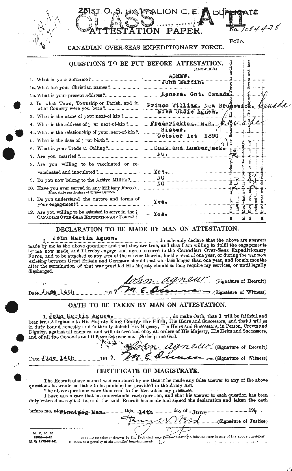Personnel Records of the First World War - CEF 203784a