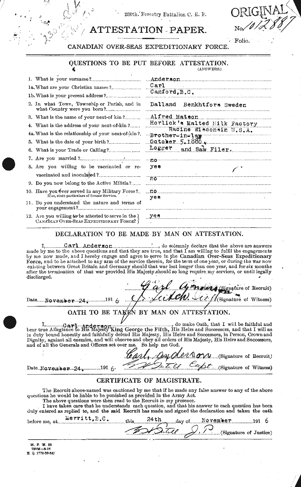 Personnel Records of the First World War - CEF 209293a