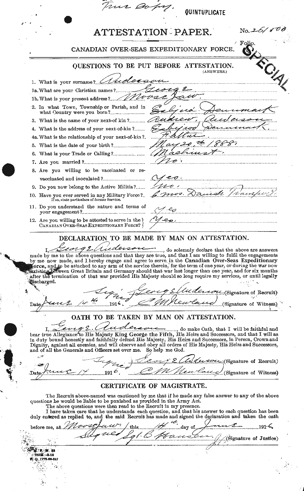 Personnel Records of the First World War - CEF 209733a