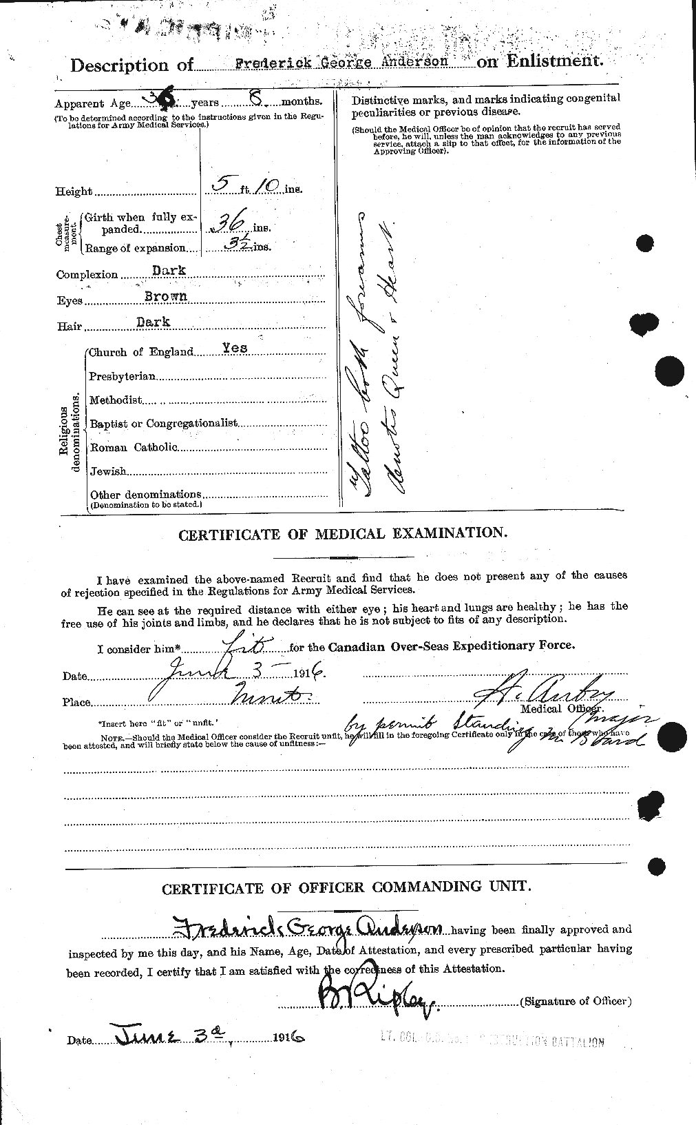Personnel Records of the First World War - CEF 209817b