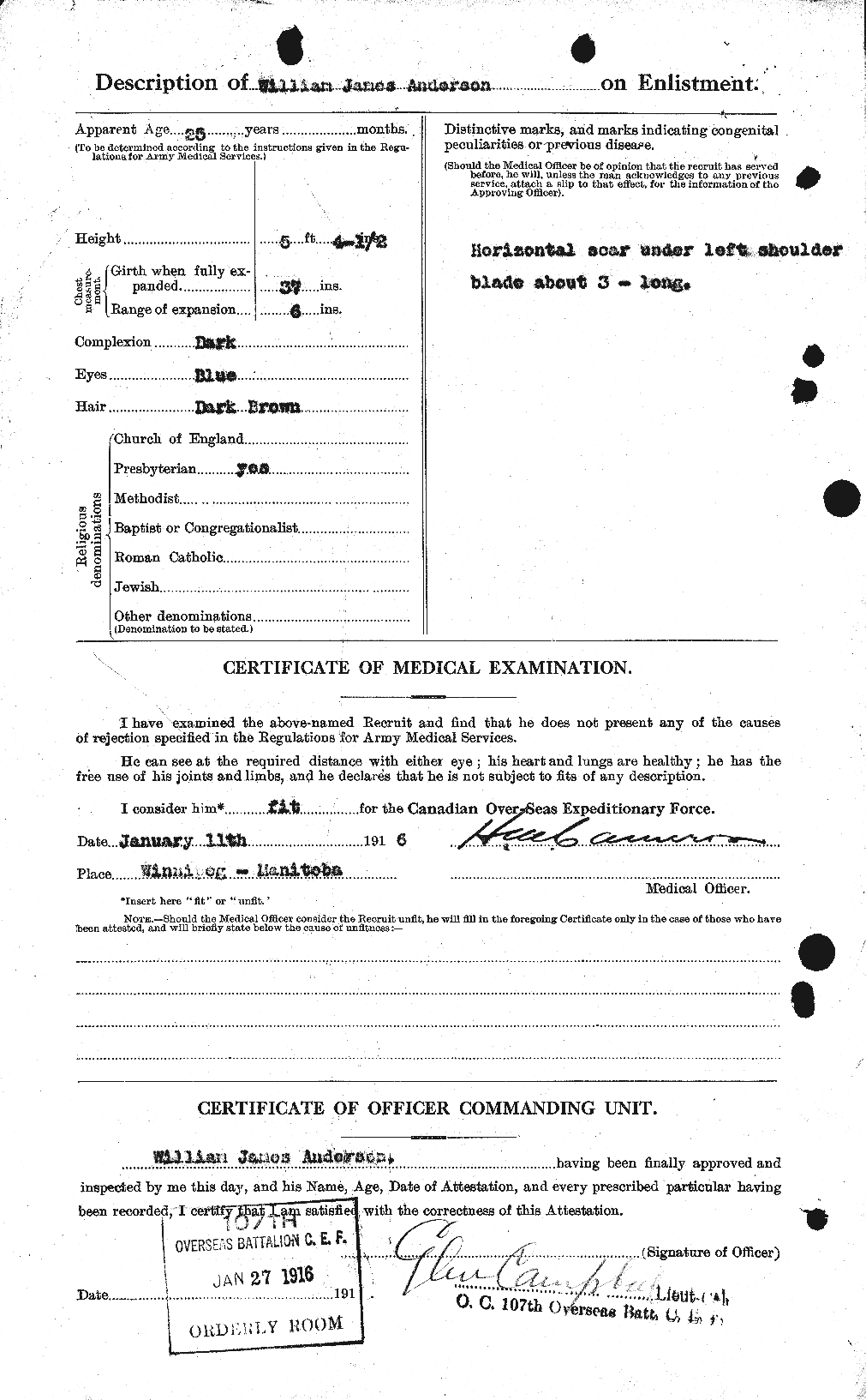 Personnel Records of the First World War - CEF 210810b
