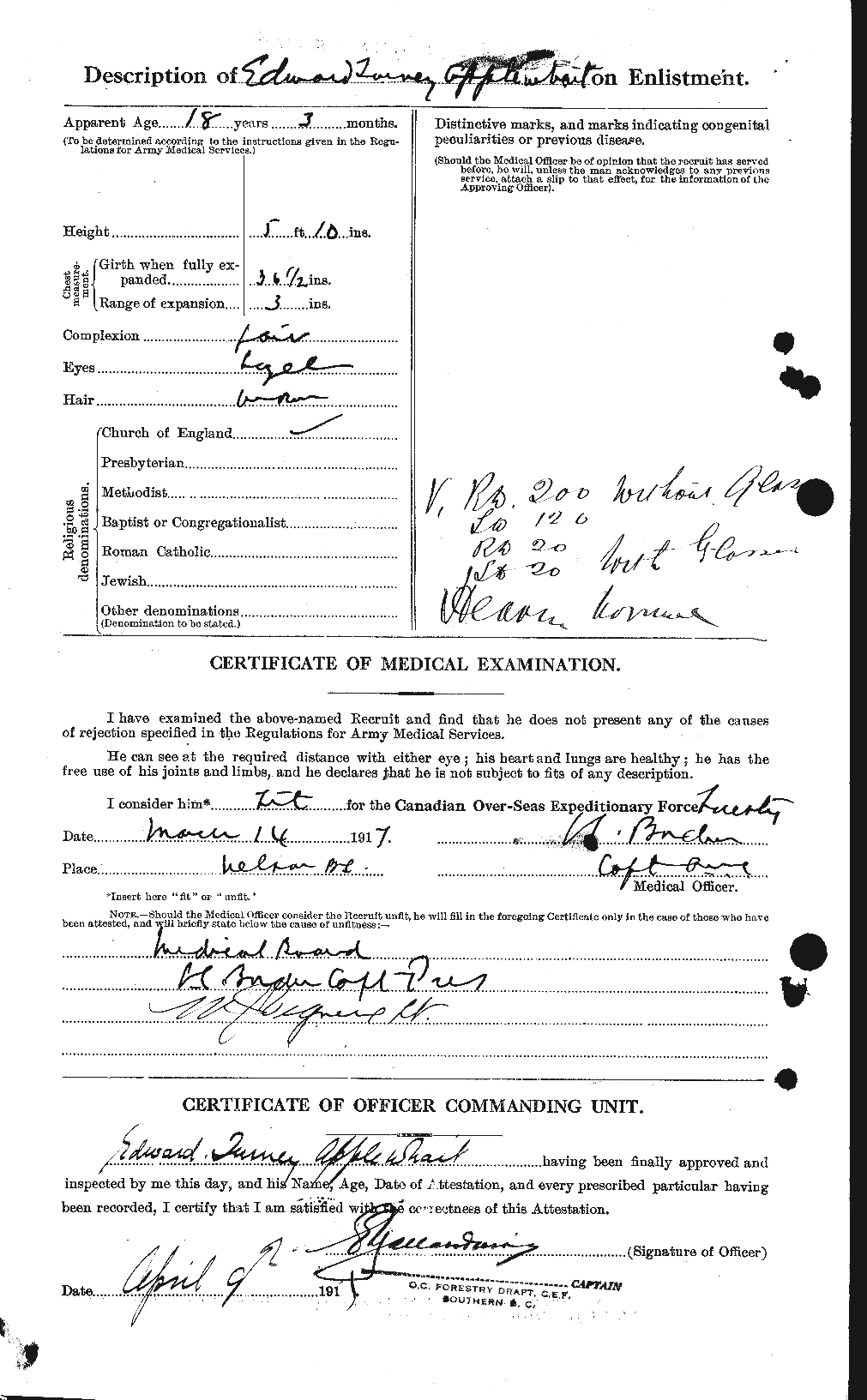 Personnel Records of the First World War - CEF 211231b