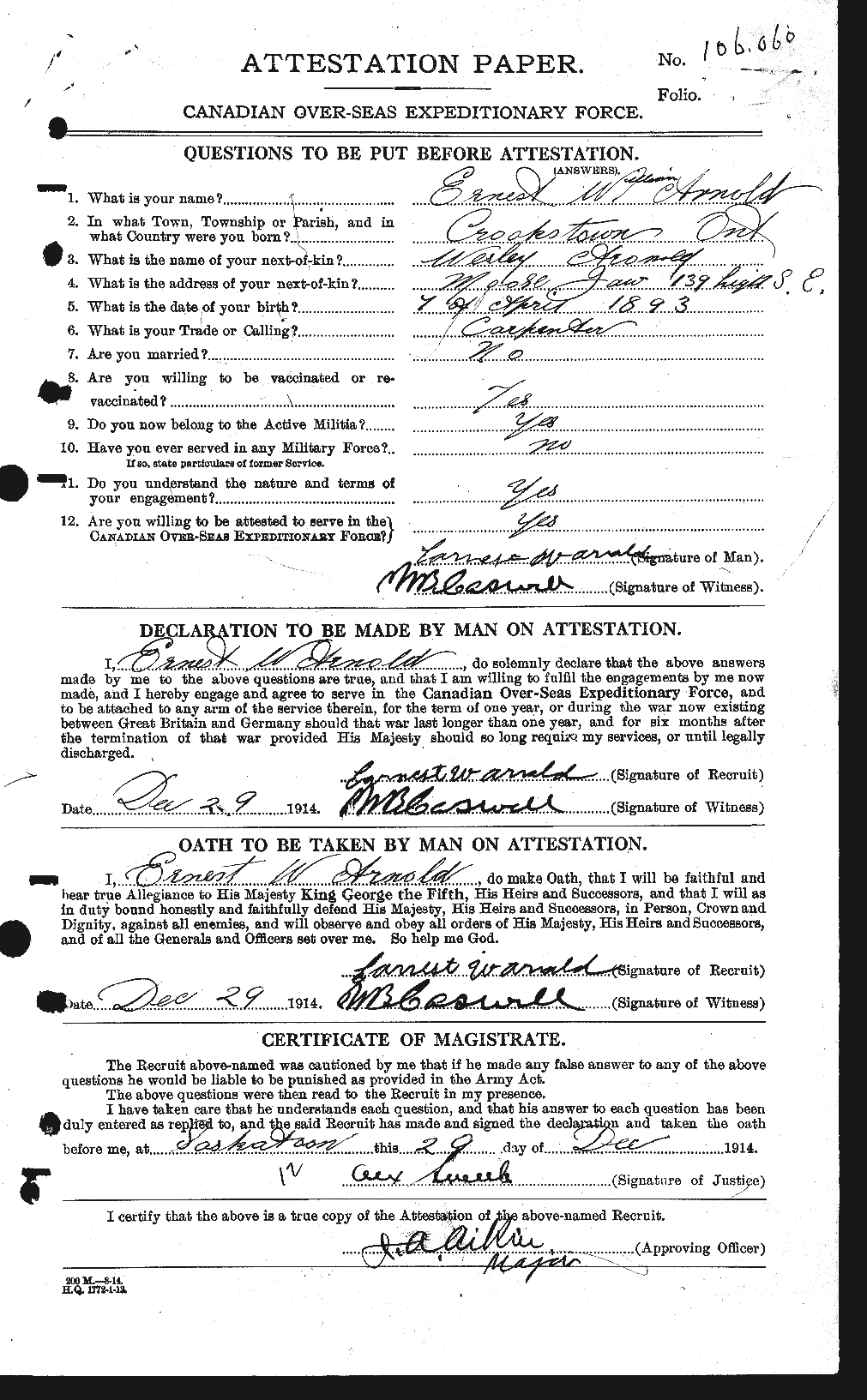 Personnel Records of the First World War - CEF 213115a