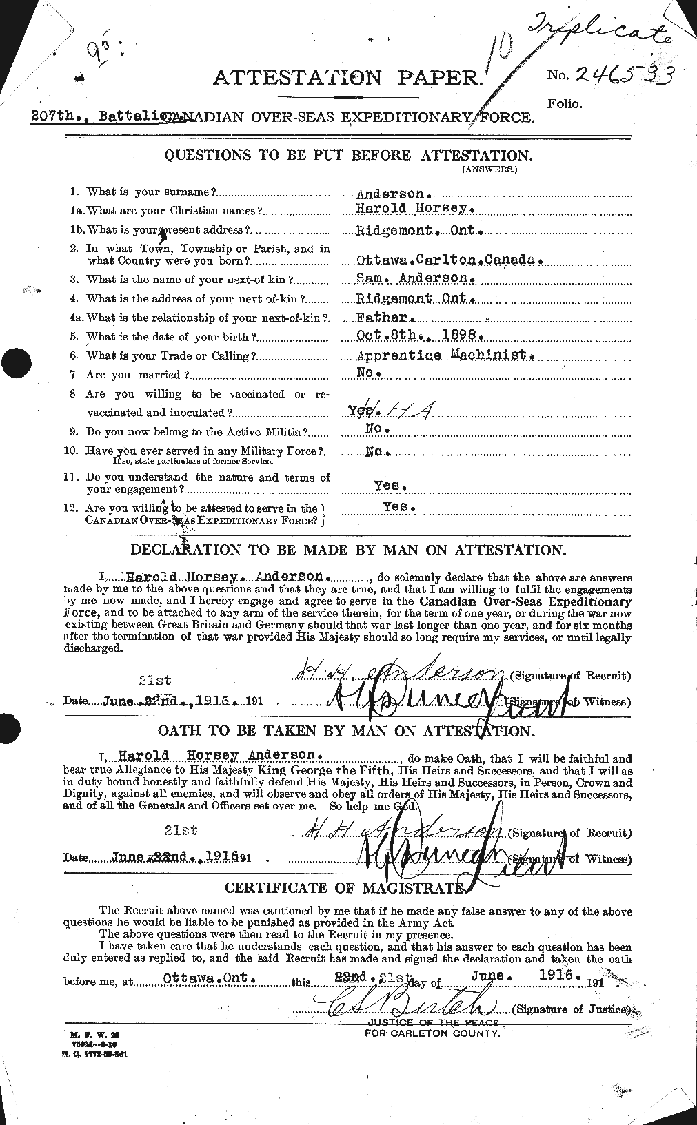 Personnel Records of the First World War - CEF 213287a