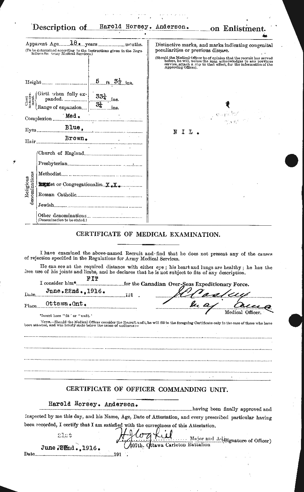 Personnel Records of the First World War - CEF 213287b