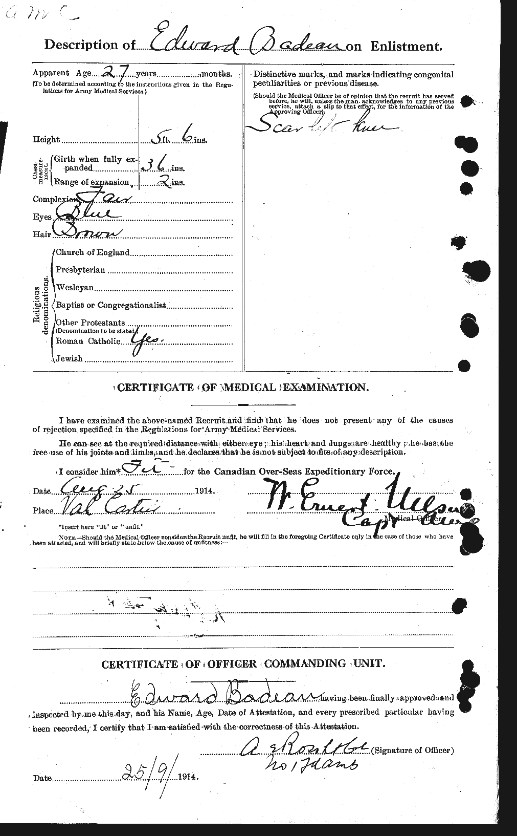 Personnel Records of the First World War - CEF 217795b