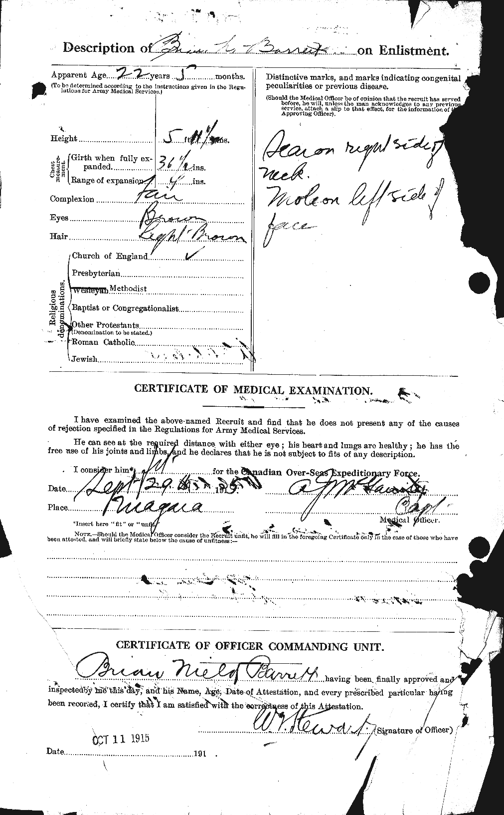 Personnel Records of the First World War - CEF 222236b
