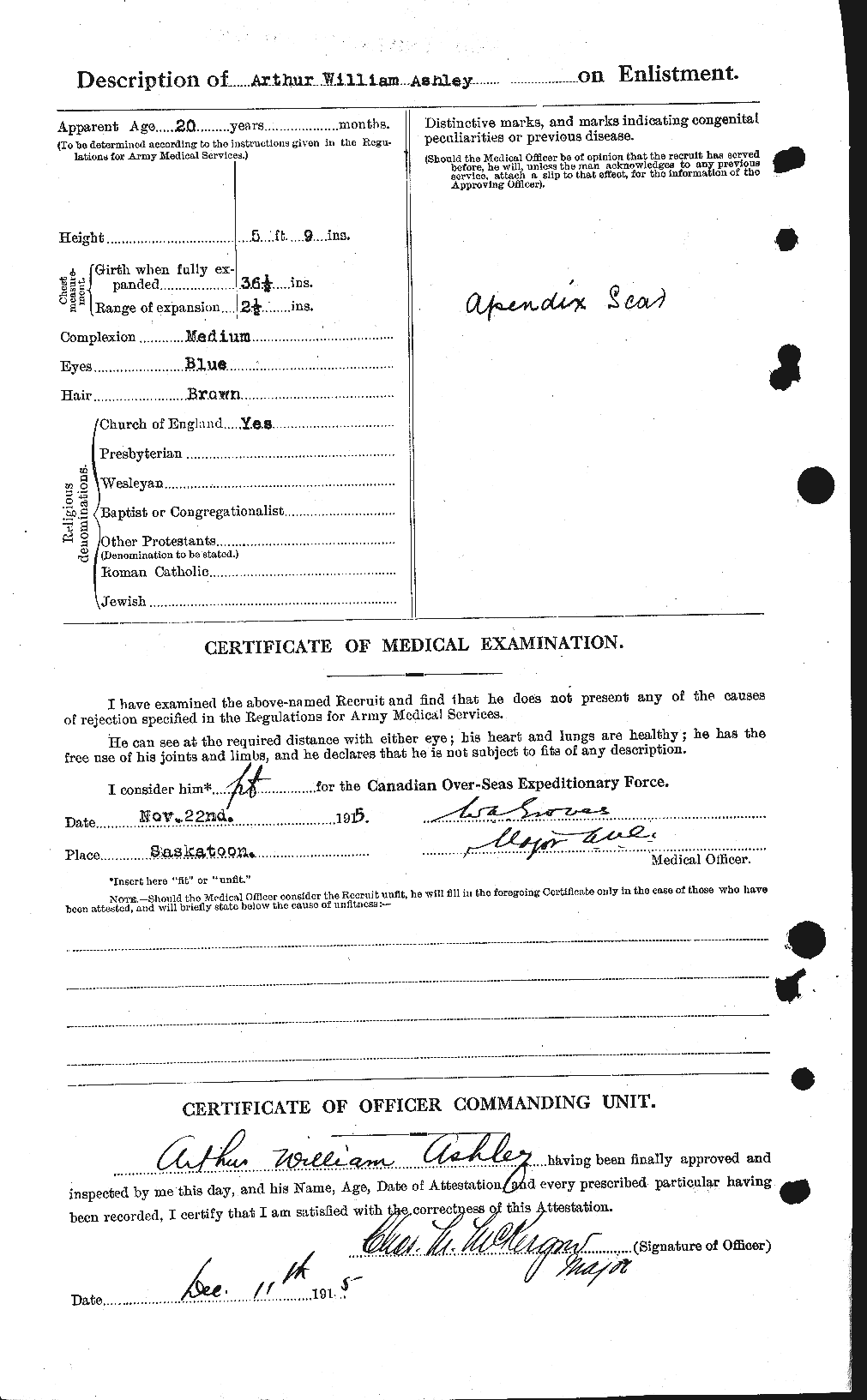 Personnel Records of the First World War - CEF 223221b