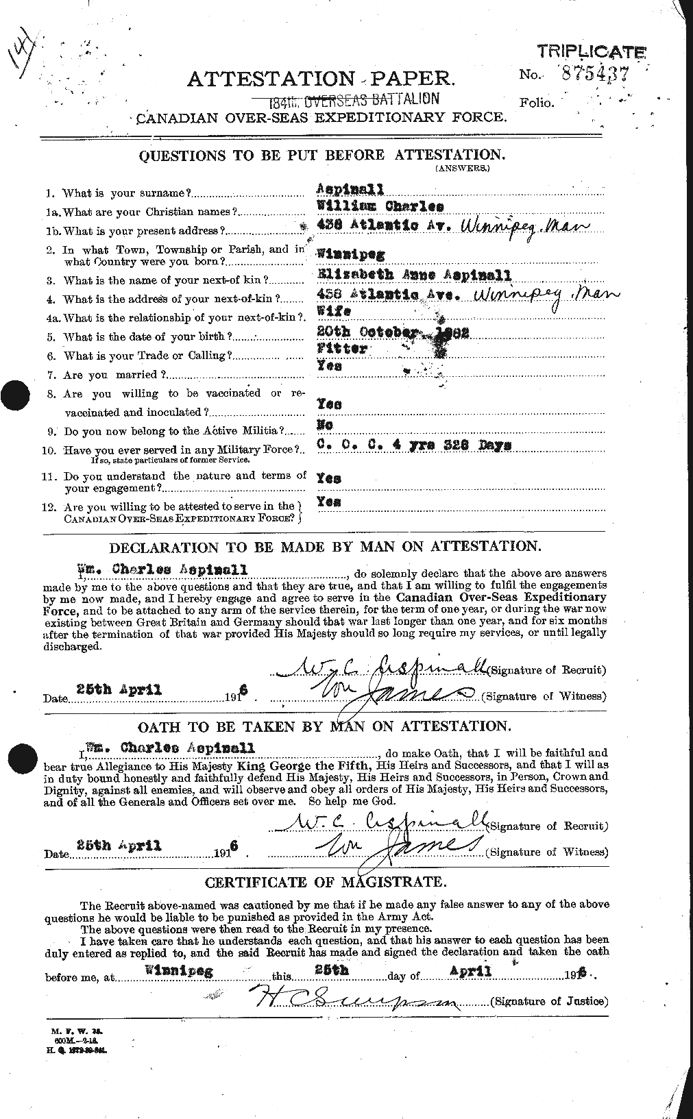 Personnel Records of the First World War - CEF 223558a