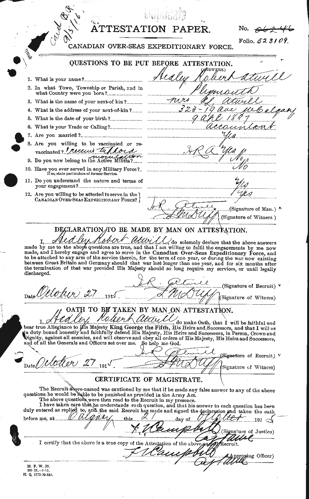 Personnel Records of the First World War - CEF 223974a