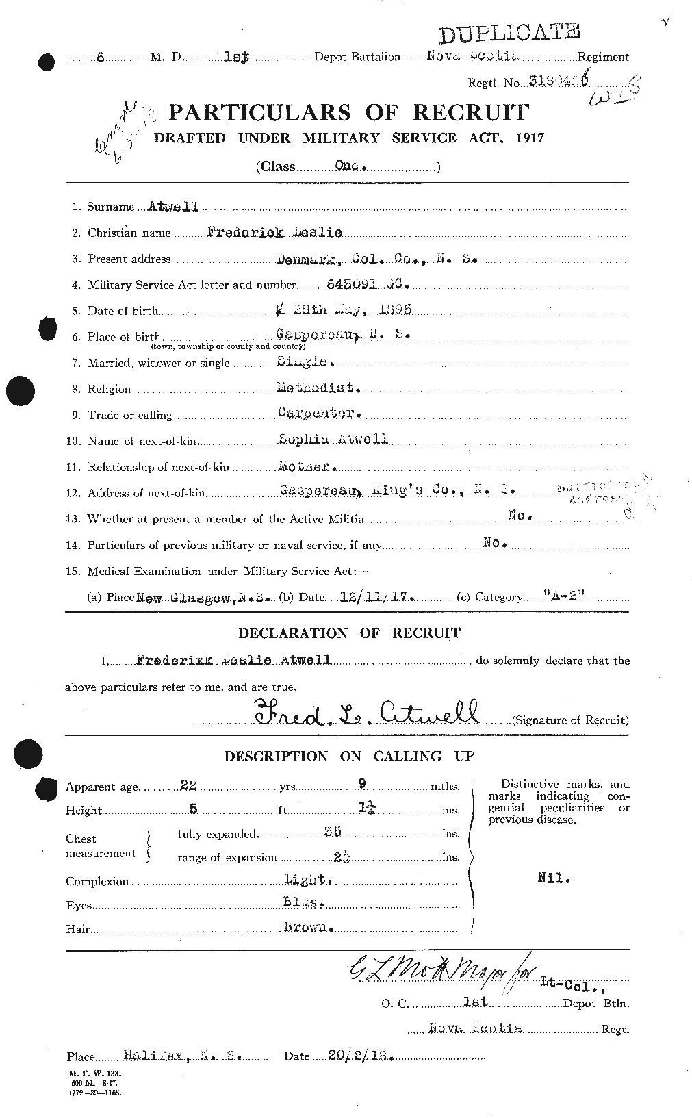 Personnel Records of the First World War - CEF 223978a