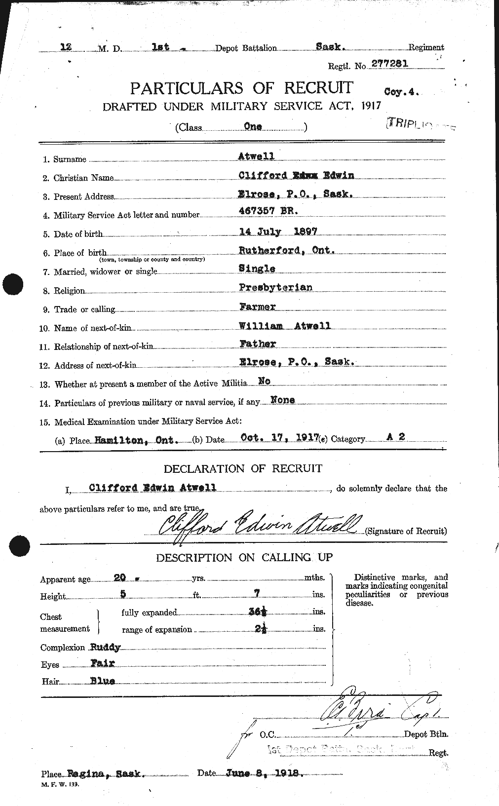Personnel Records of the First World War - CEF 223981a