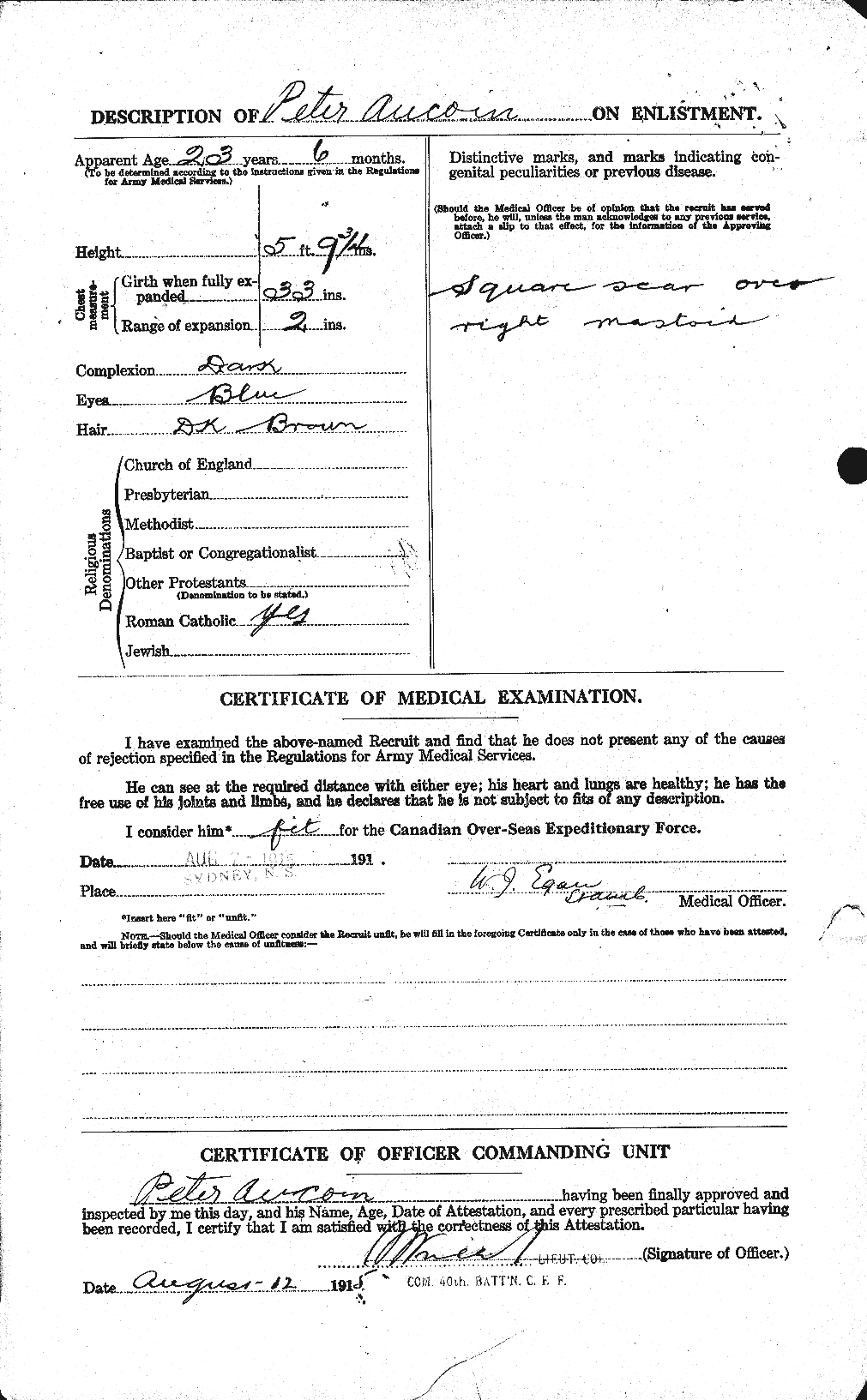 Personnel Records of the First World War - CEF 224537b