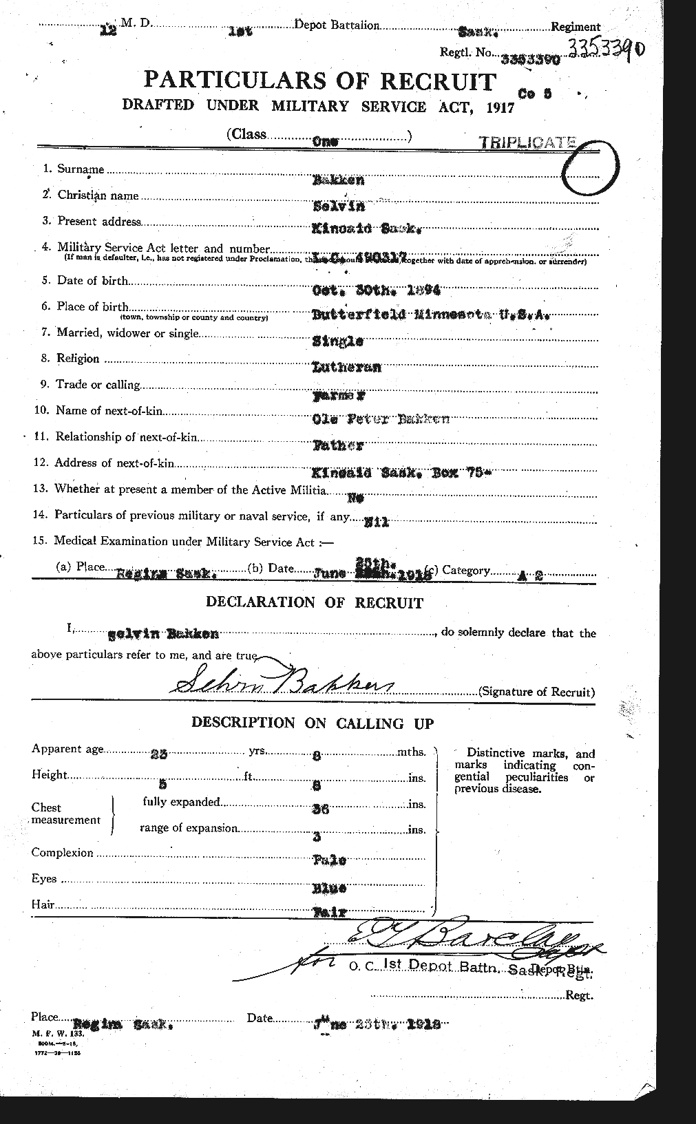 Personnel Records of the First World War - CEF 225489a