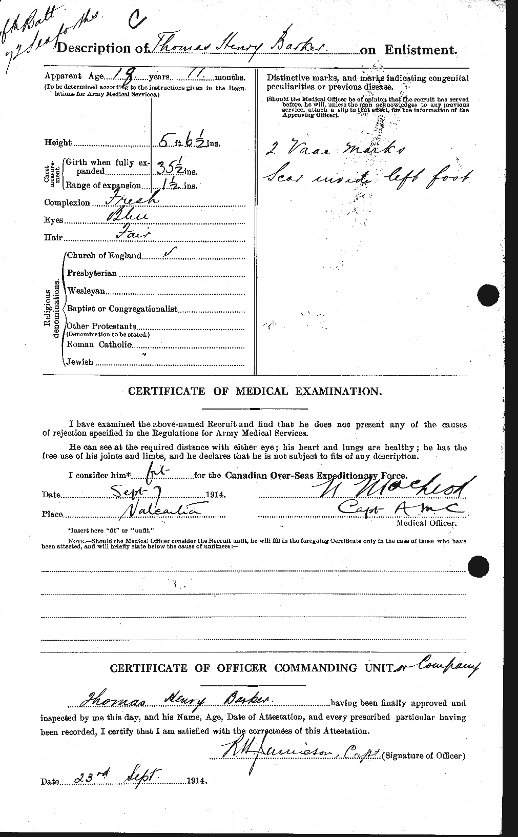 Personnel Records of the First World War - CEF 226931b