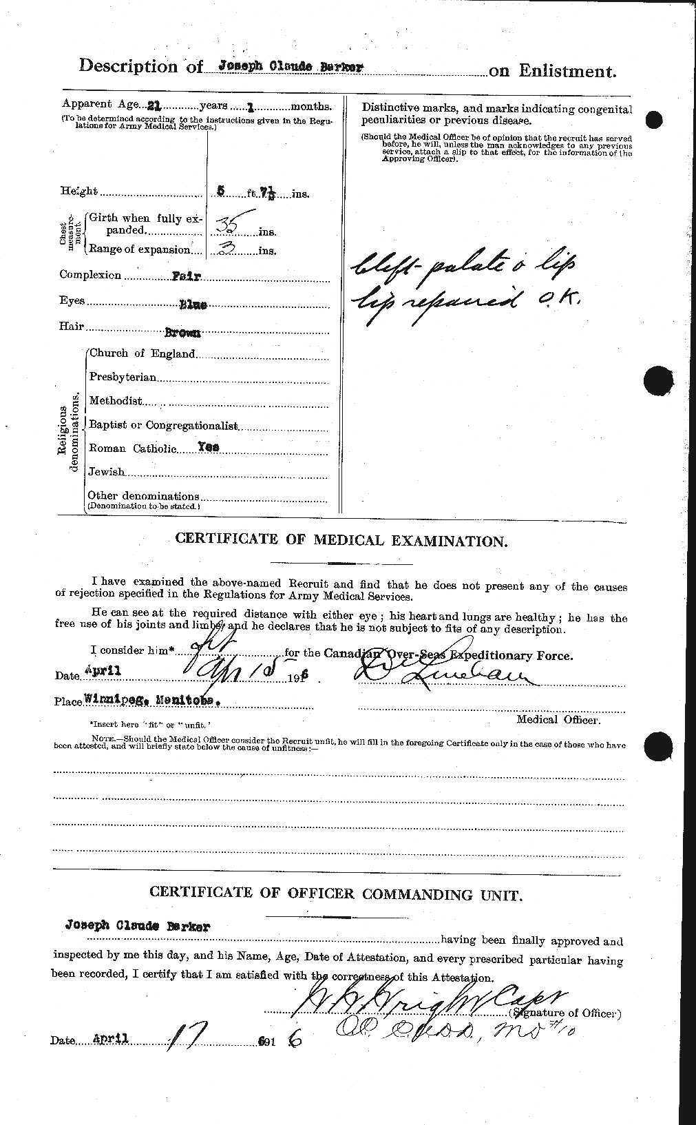 Personnel Records of the First World War - CEF 227003b