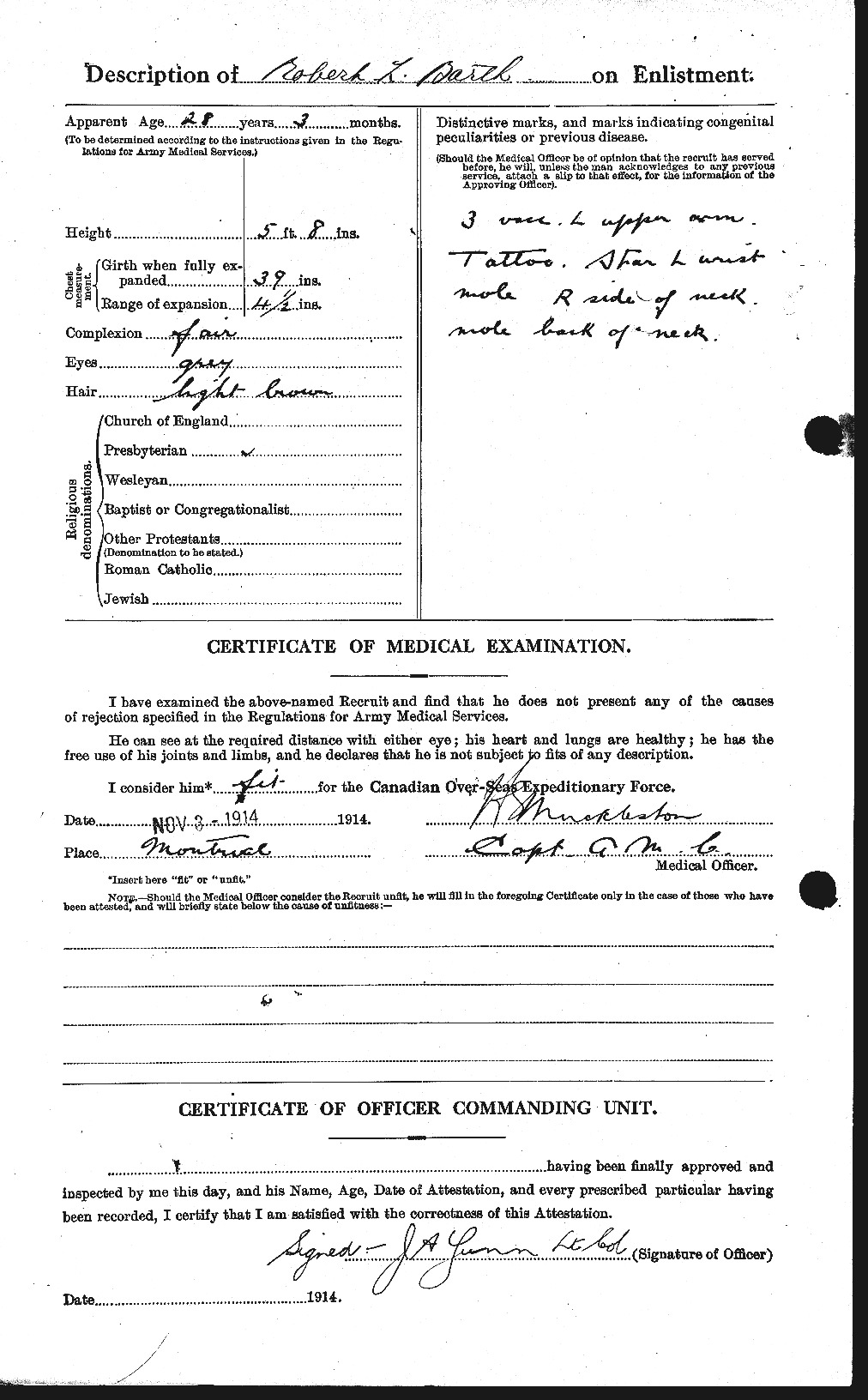 Personnel Records of the First World War - CEF 229071b